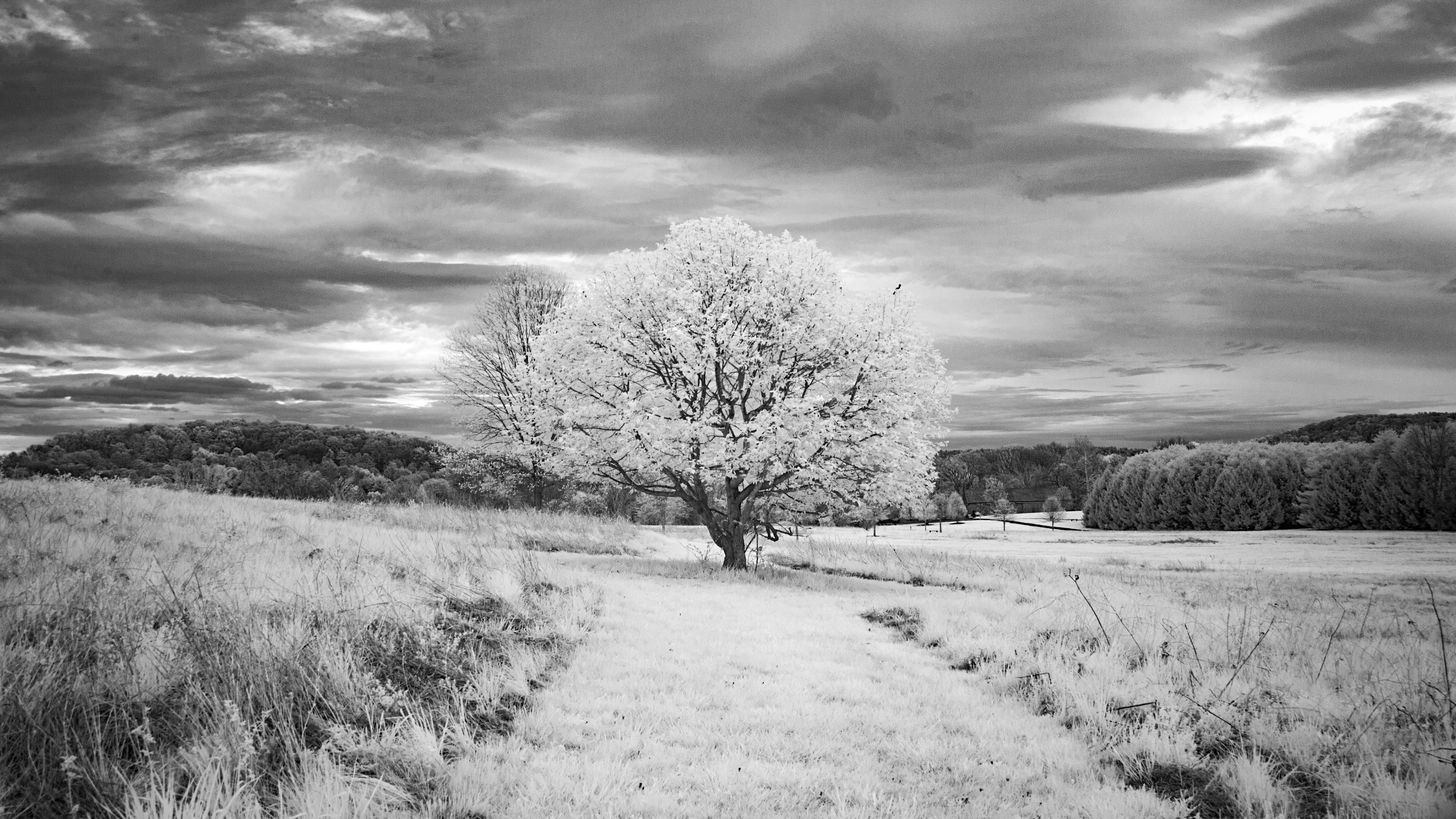 зима, загрузка