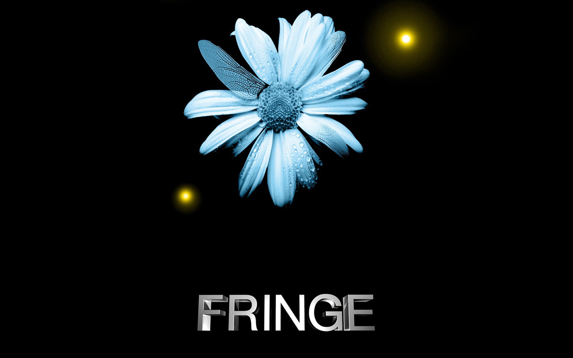 fringe