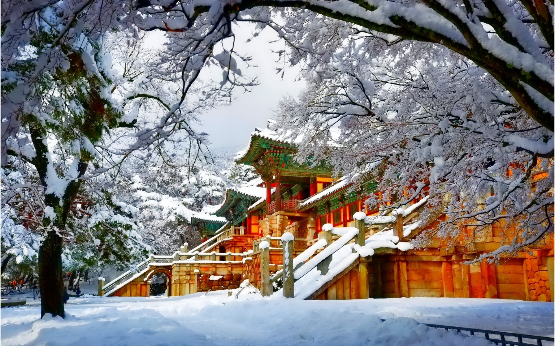 japanese, abyss, winter