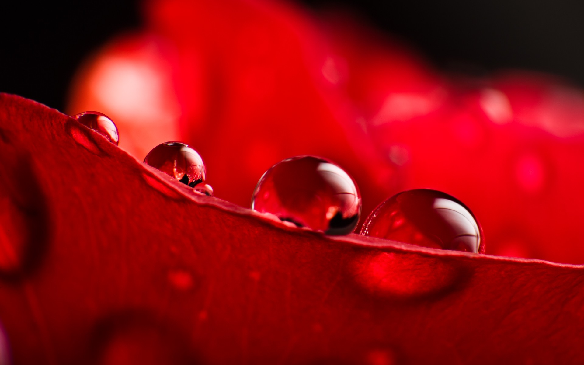 dewdrop, serlo