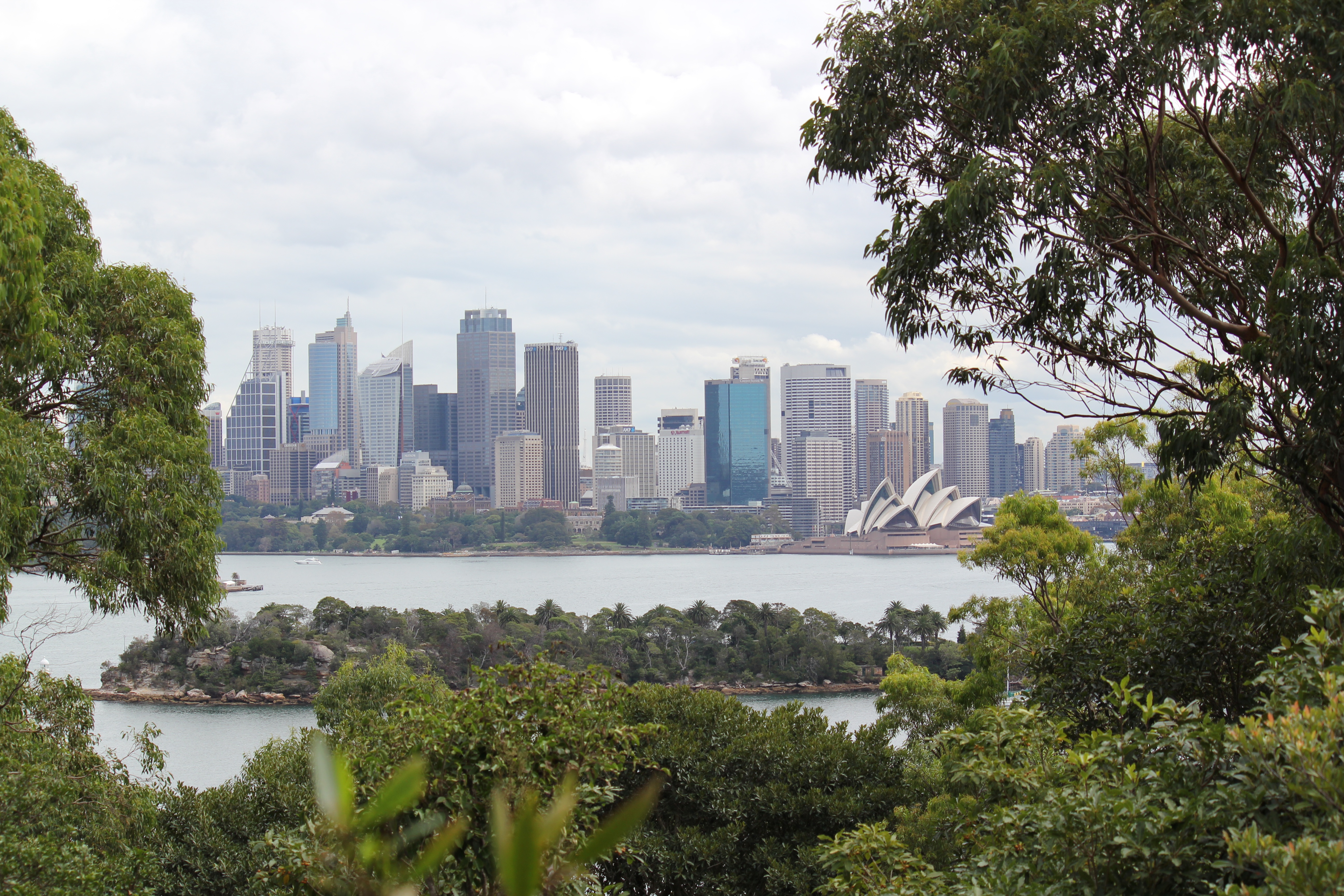 sydney, австралия, ночь