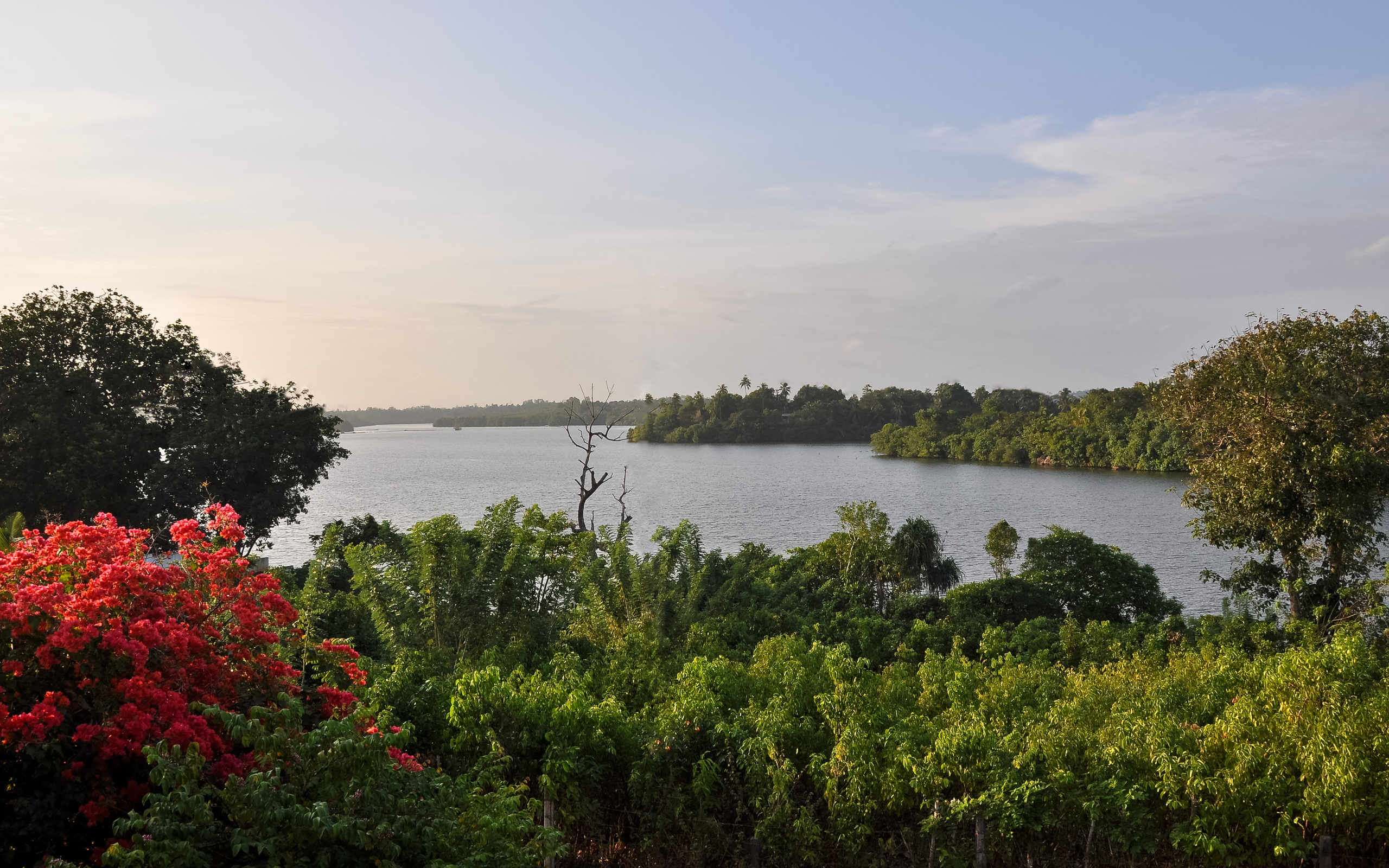 Озера шри ланки. Шри Ланка пейзажи. Шри Ланка реки и озера. Озеро Тиса Шри Ланка. Шри Ланка реки.