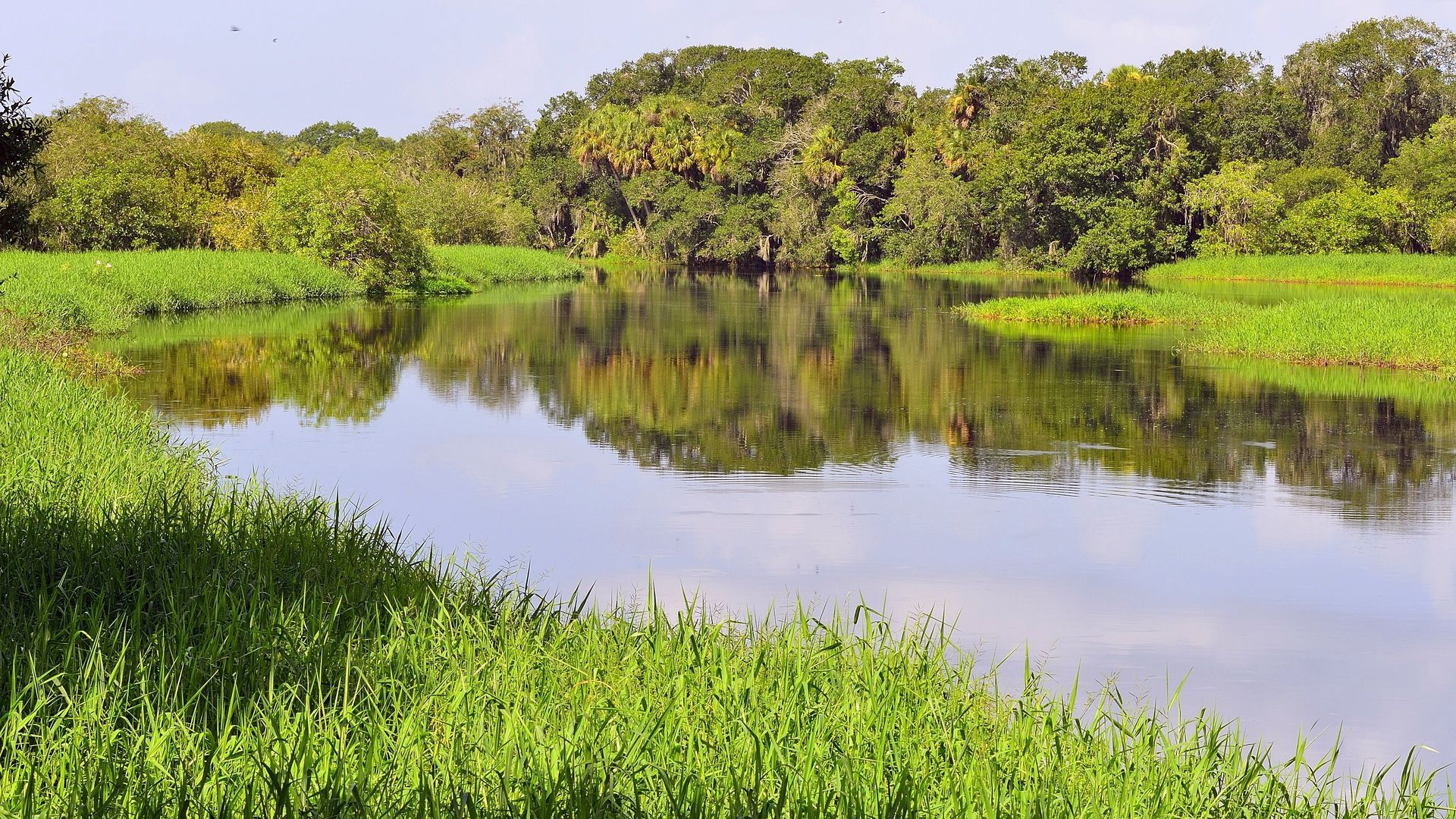 праздник, день, природа