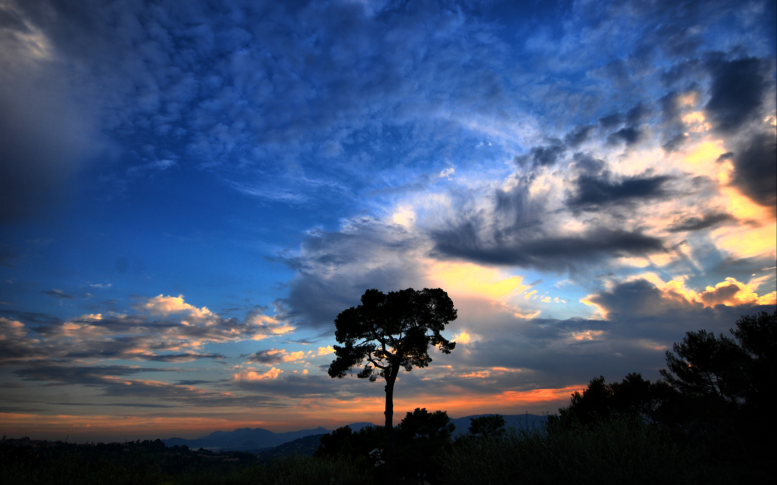 природа деревья небо облака графика бесплатно