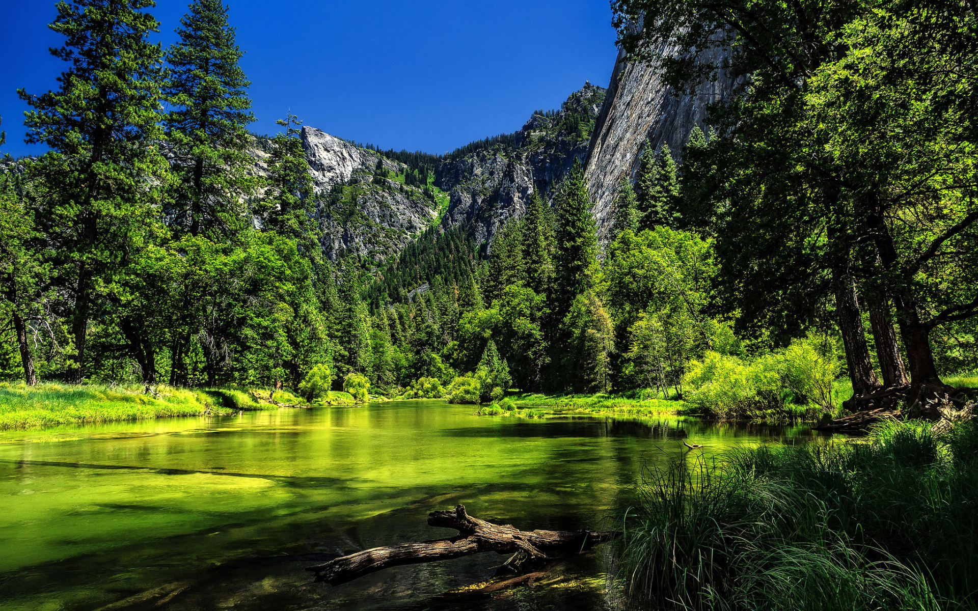 женский вид на реку с горой на заднем плане