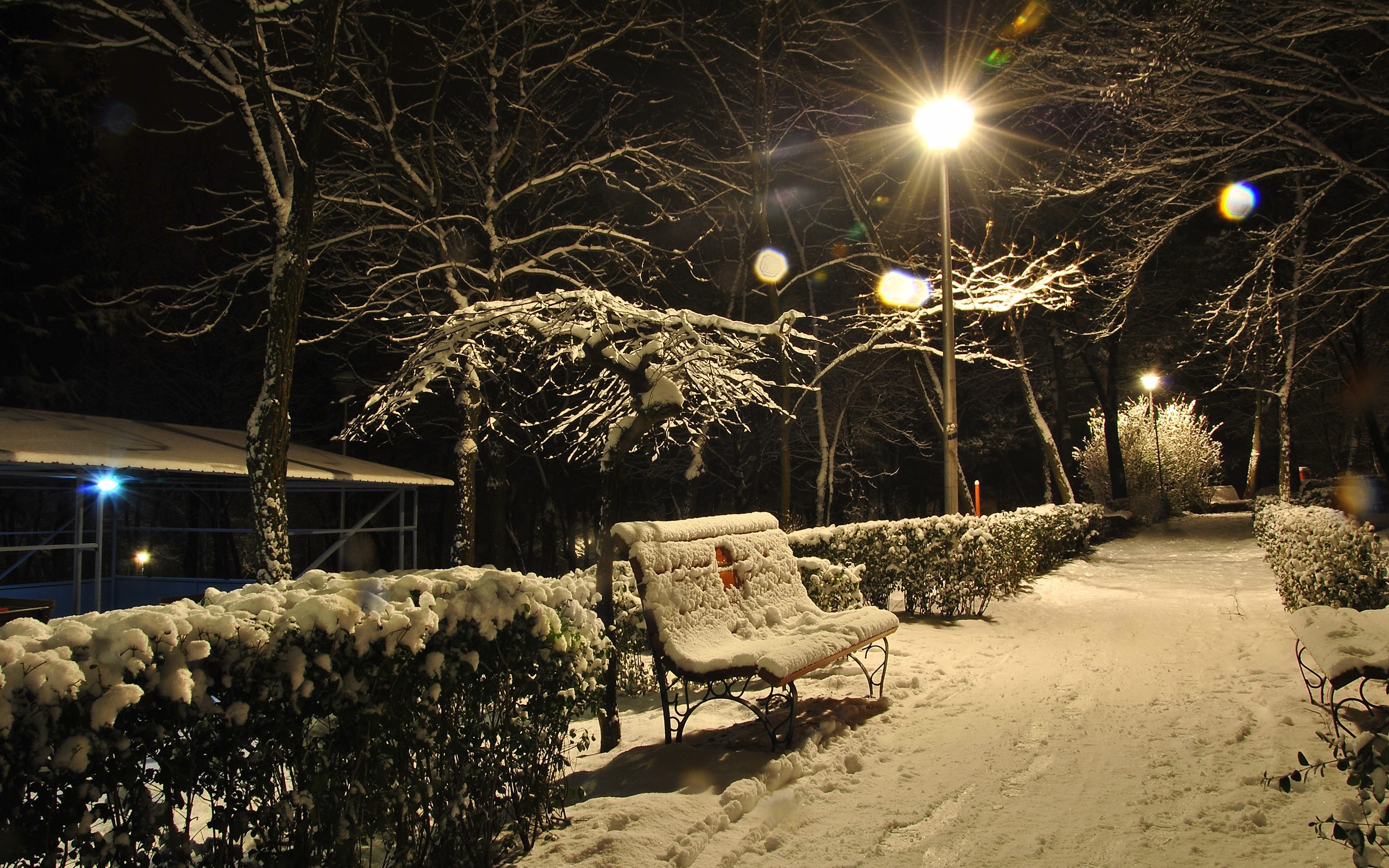 лавка зима снег фонарь парк скачать