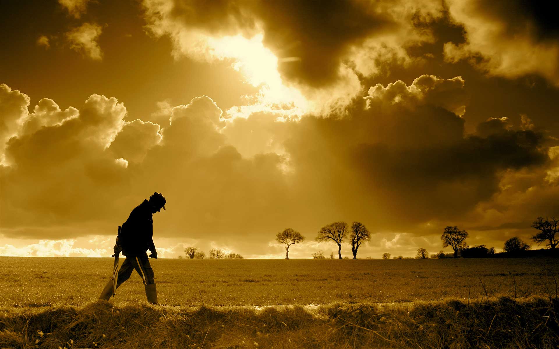 ретро, выгул, solitario