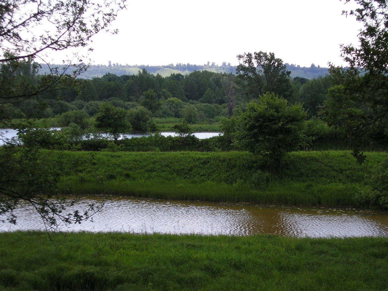 parte, naturaleza