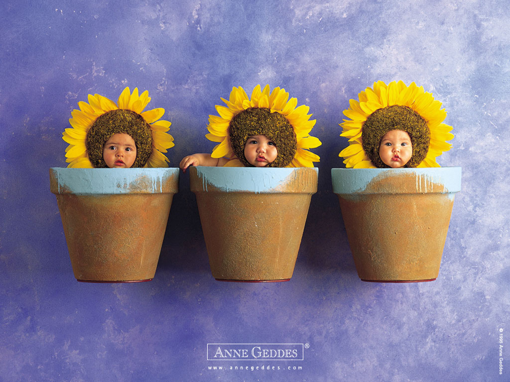 anne, geddes, baby