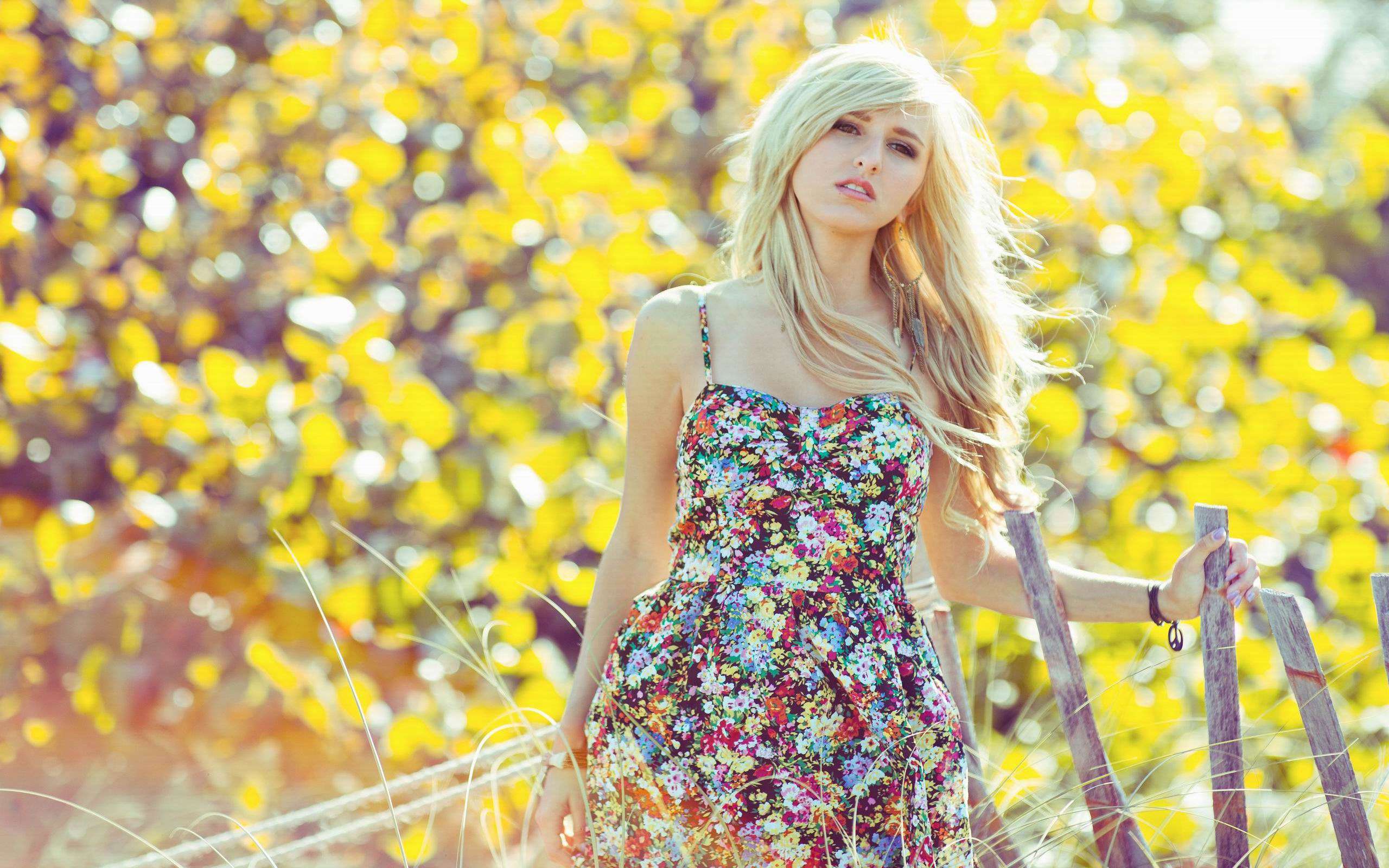Девушка, цветы, осень, блондинка бесплатно
