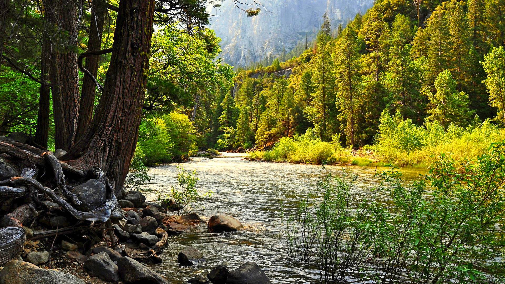 тайга, оир, река