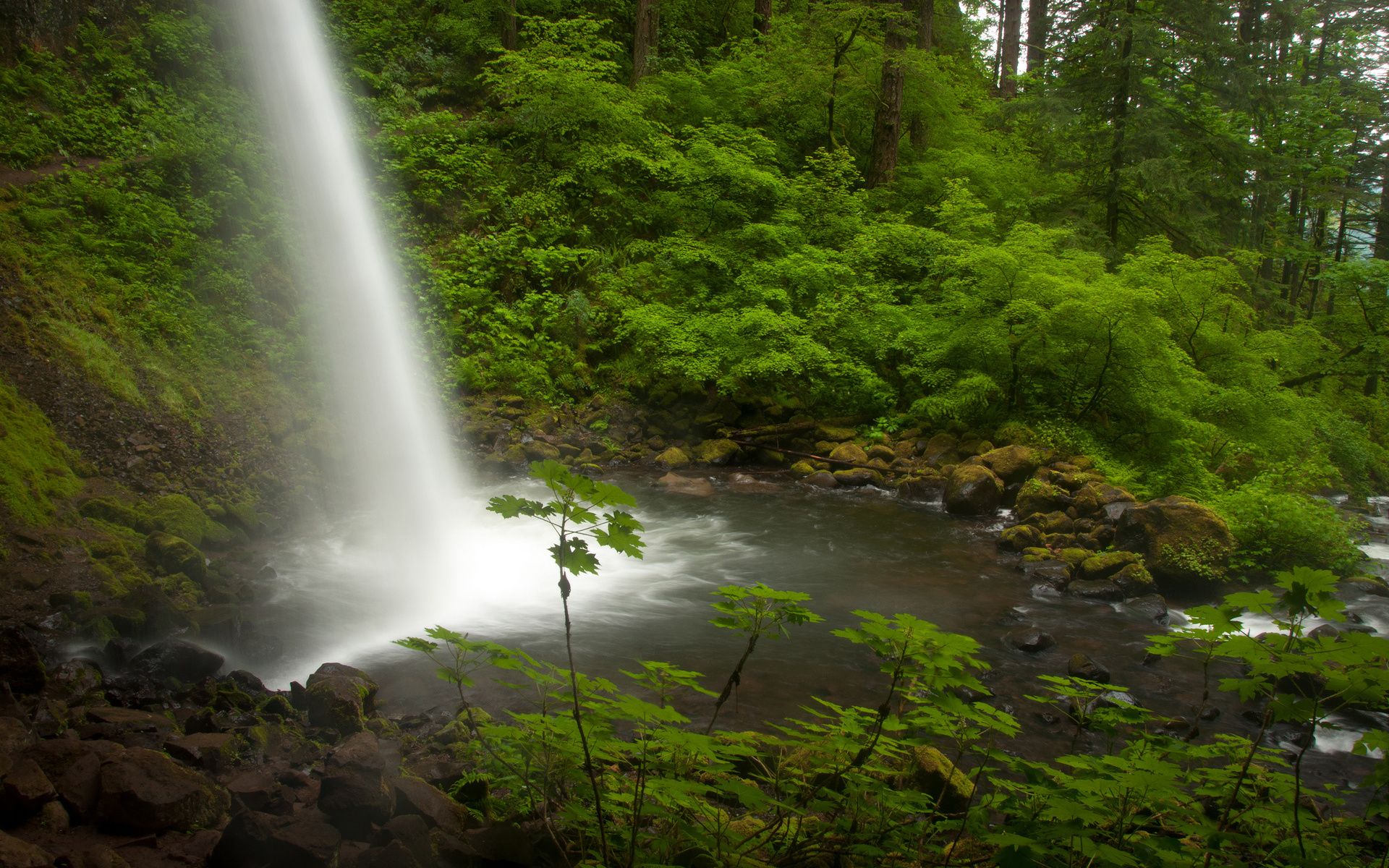 columbia, река, oregon Номер 155054 Разрешение 1920x1200
