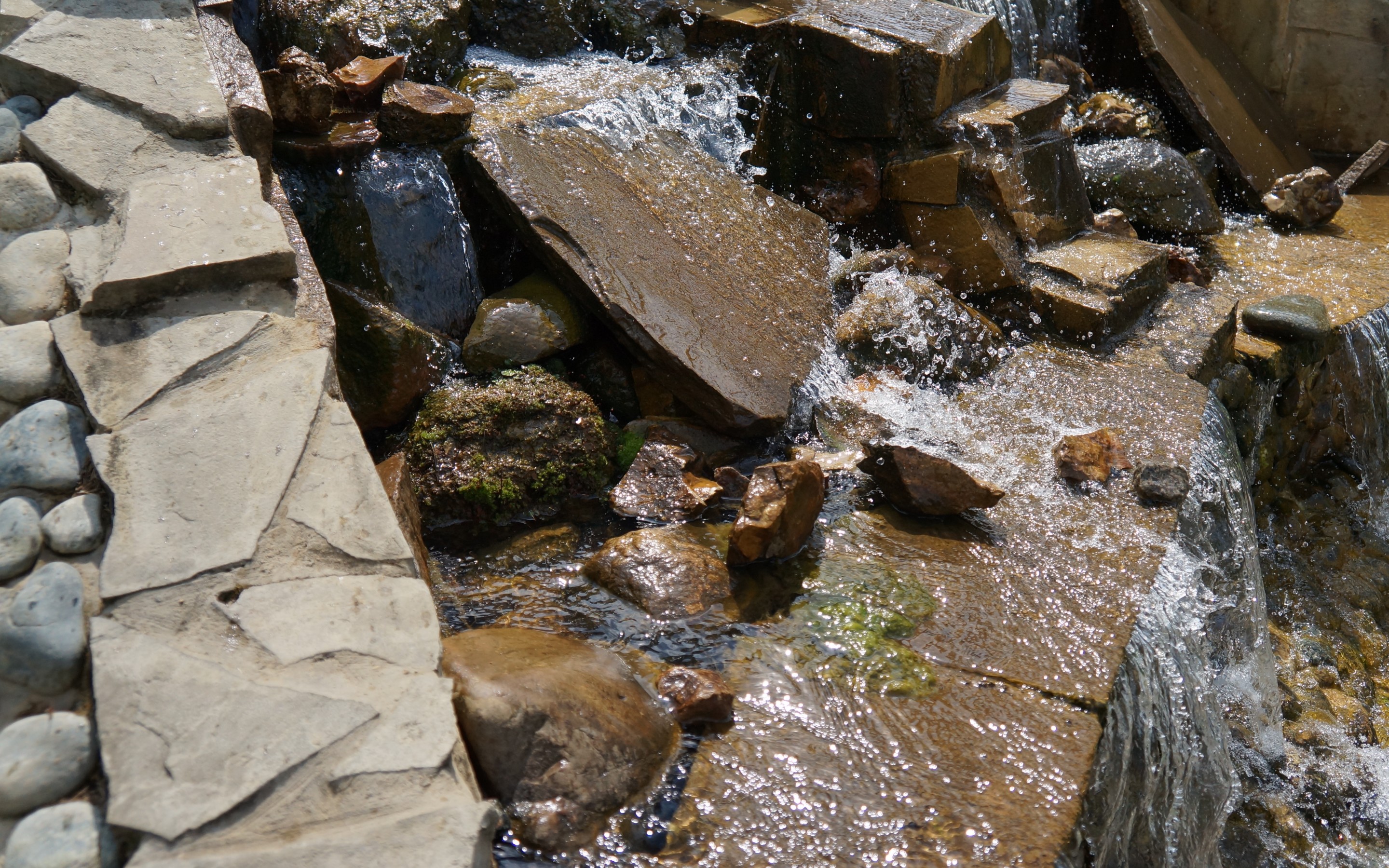 Природа 148035