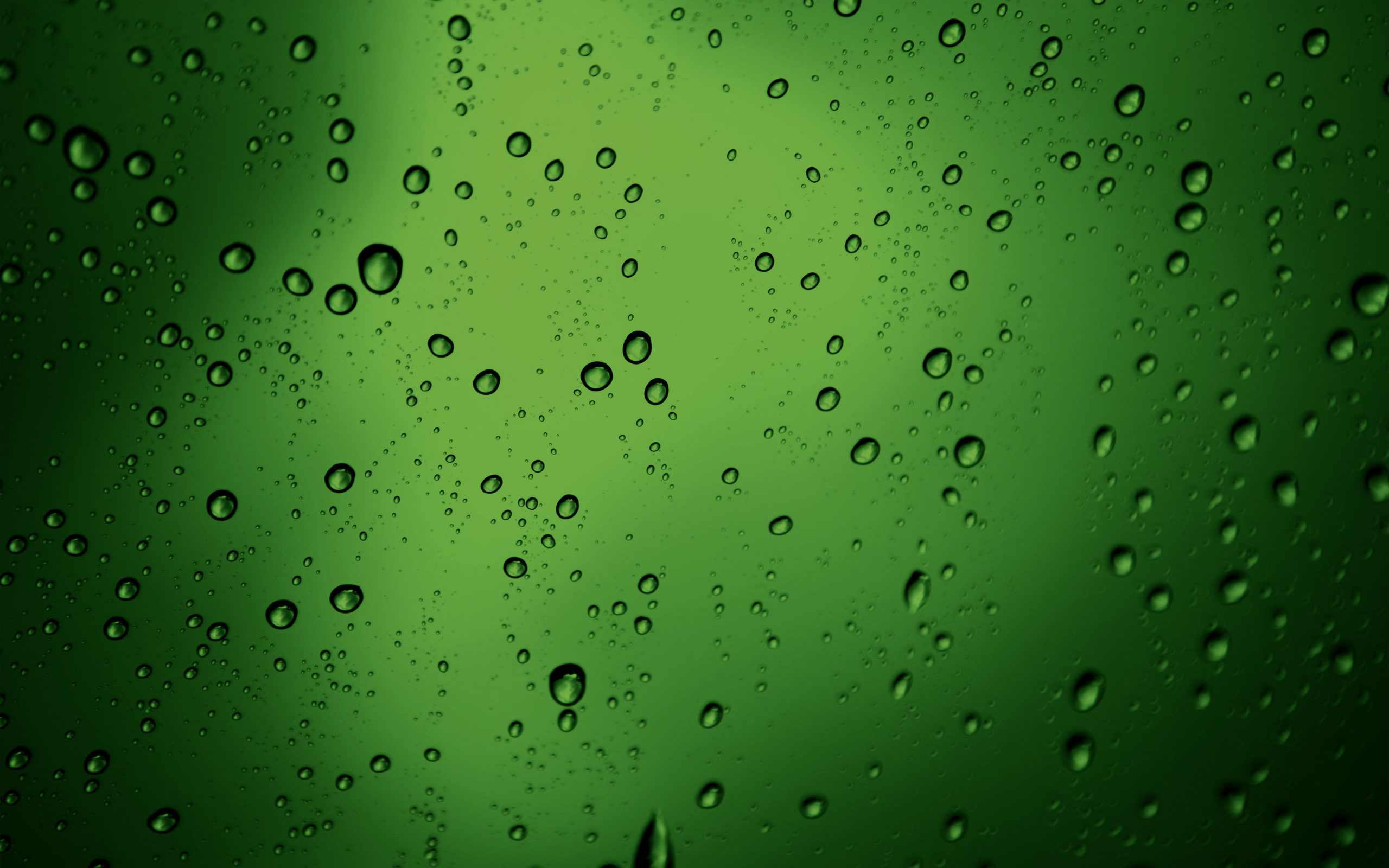 drop, текстура, зелень