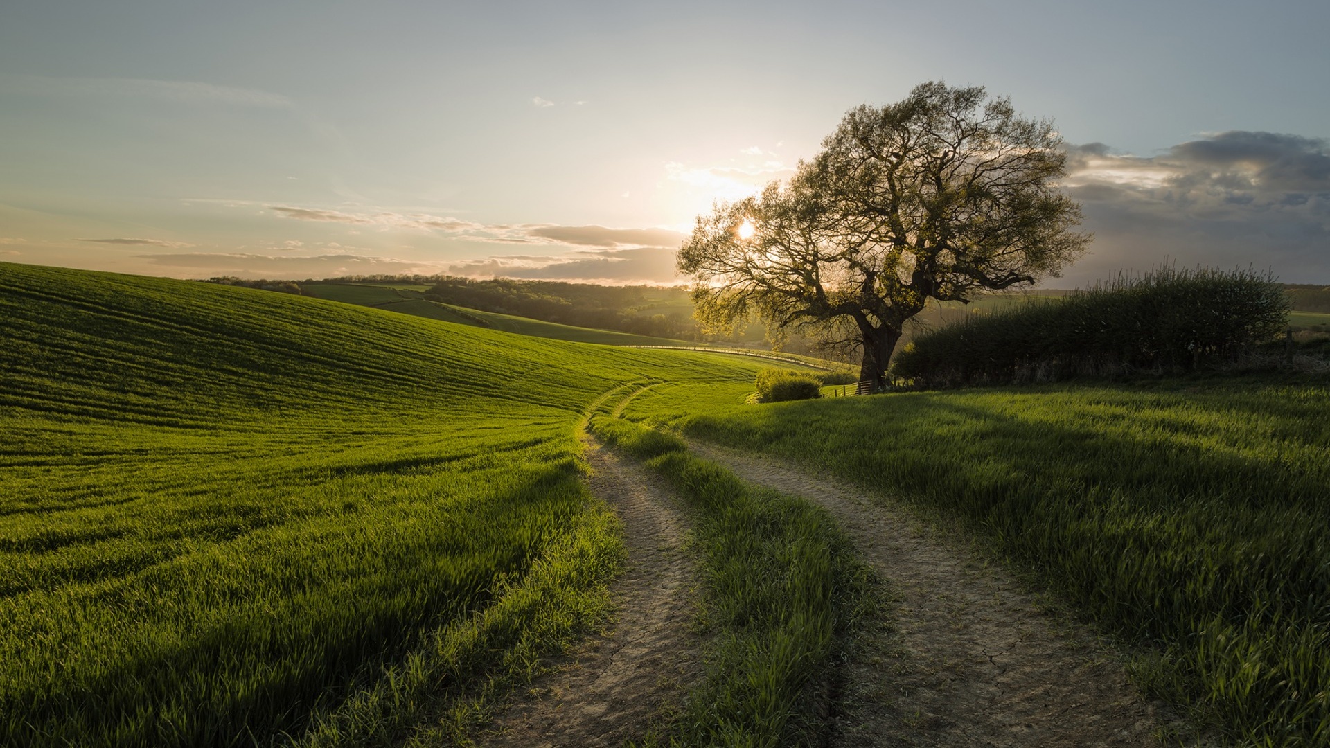 а. а., премиальный