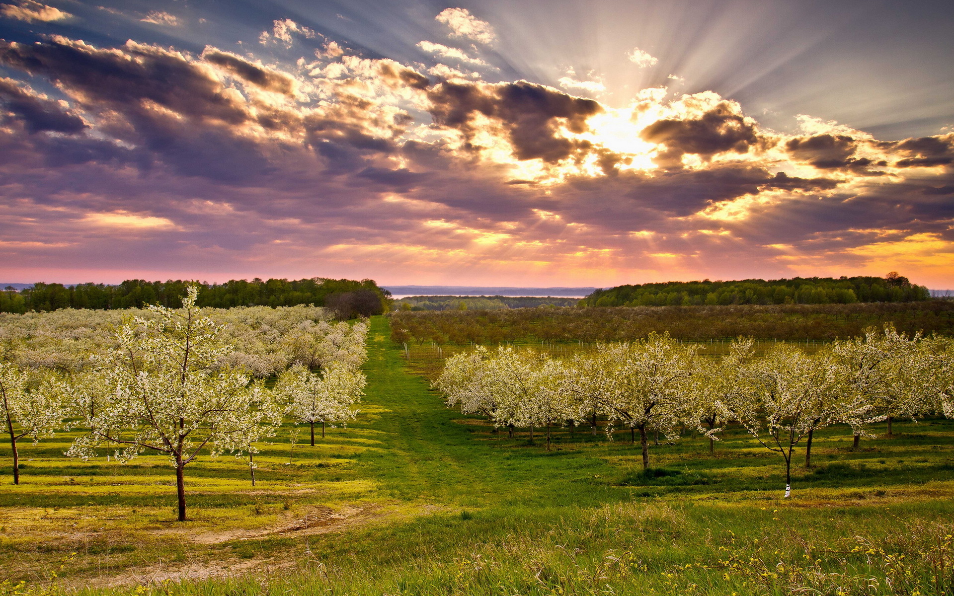 primavera, papael, paisagem