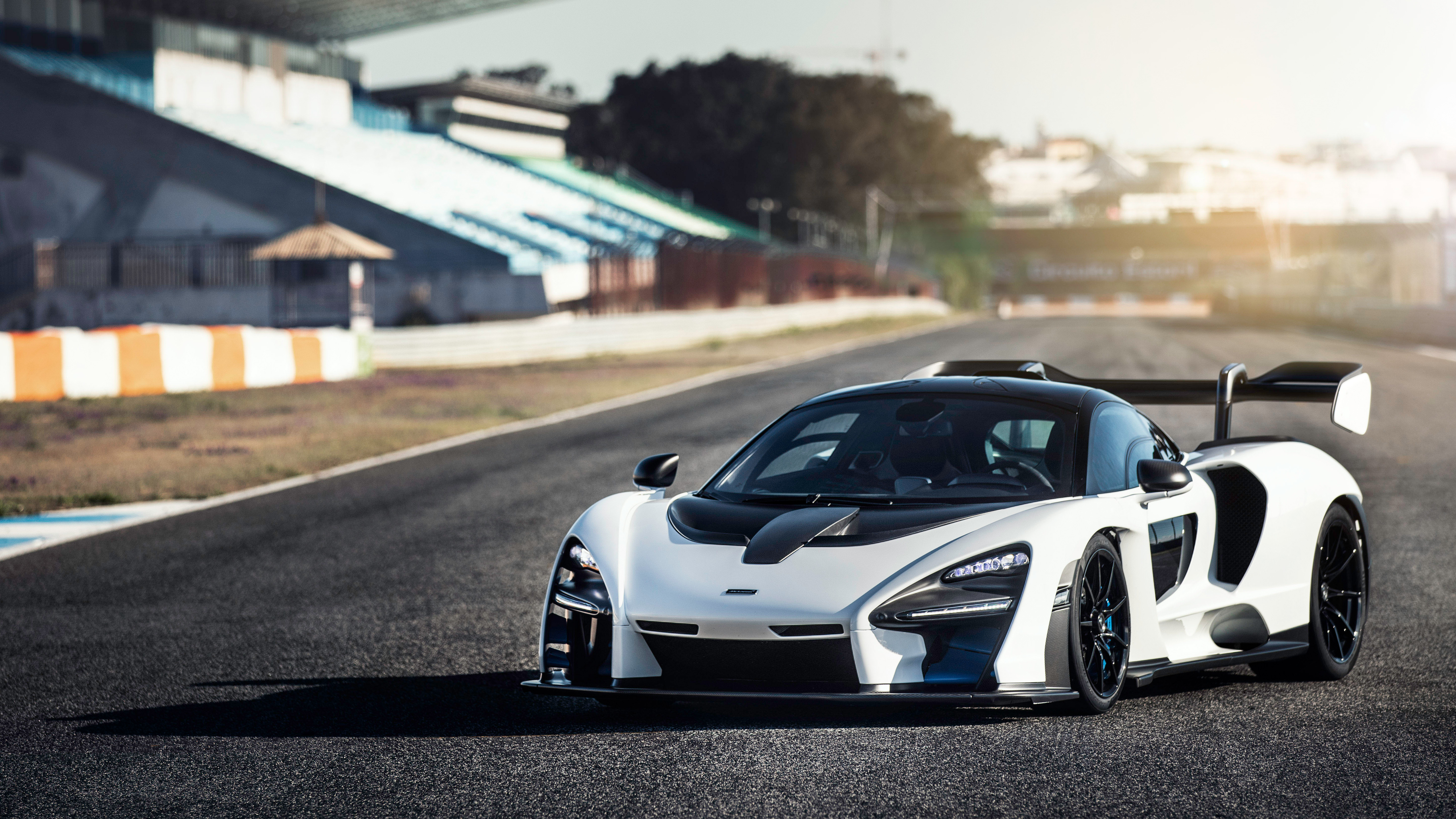 mclaren, senna, car