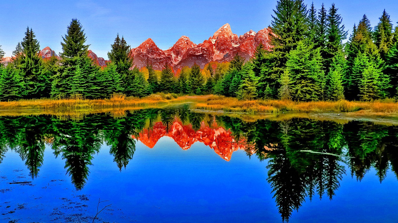 озеро, лес, отражение