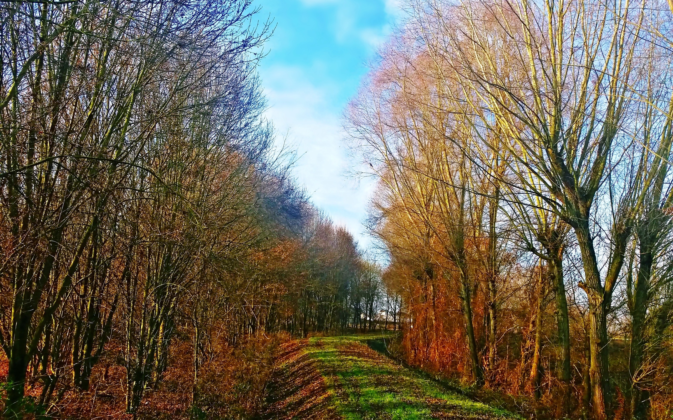 фото, руди, бронза