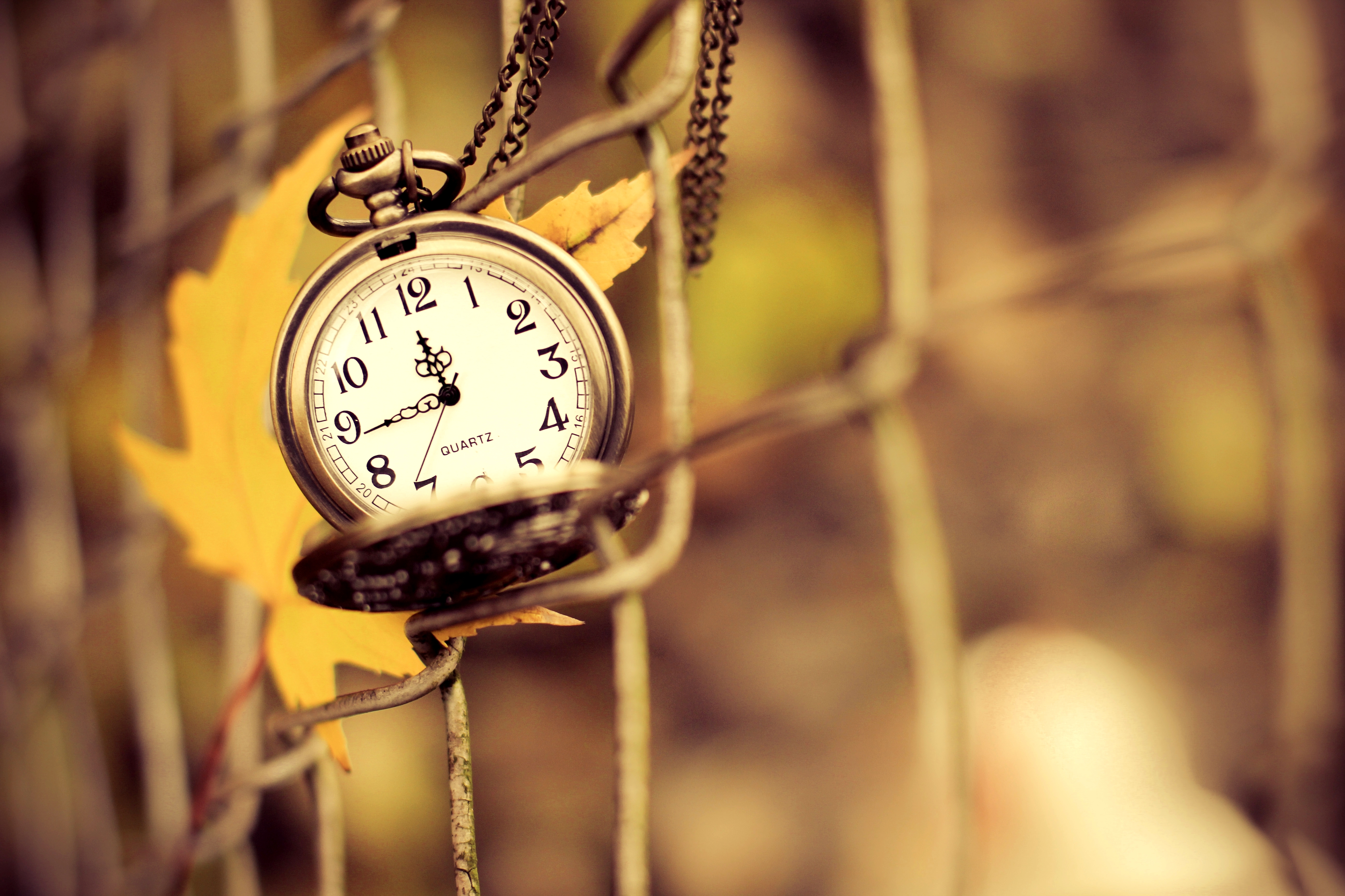 time, осень, postcard