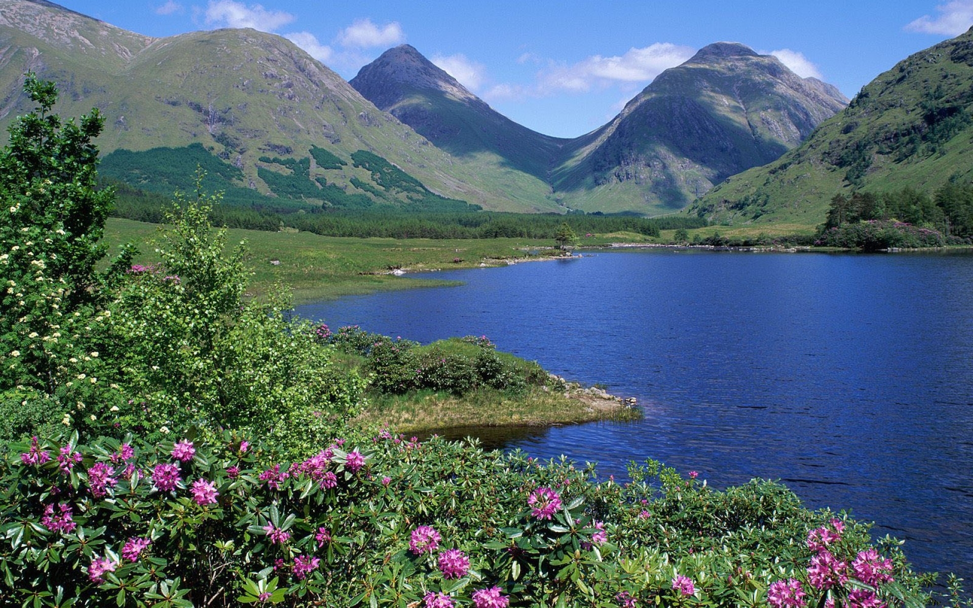 шотландия, россия