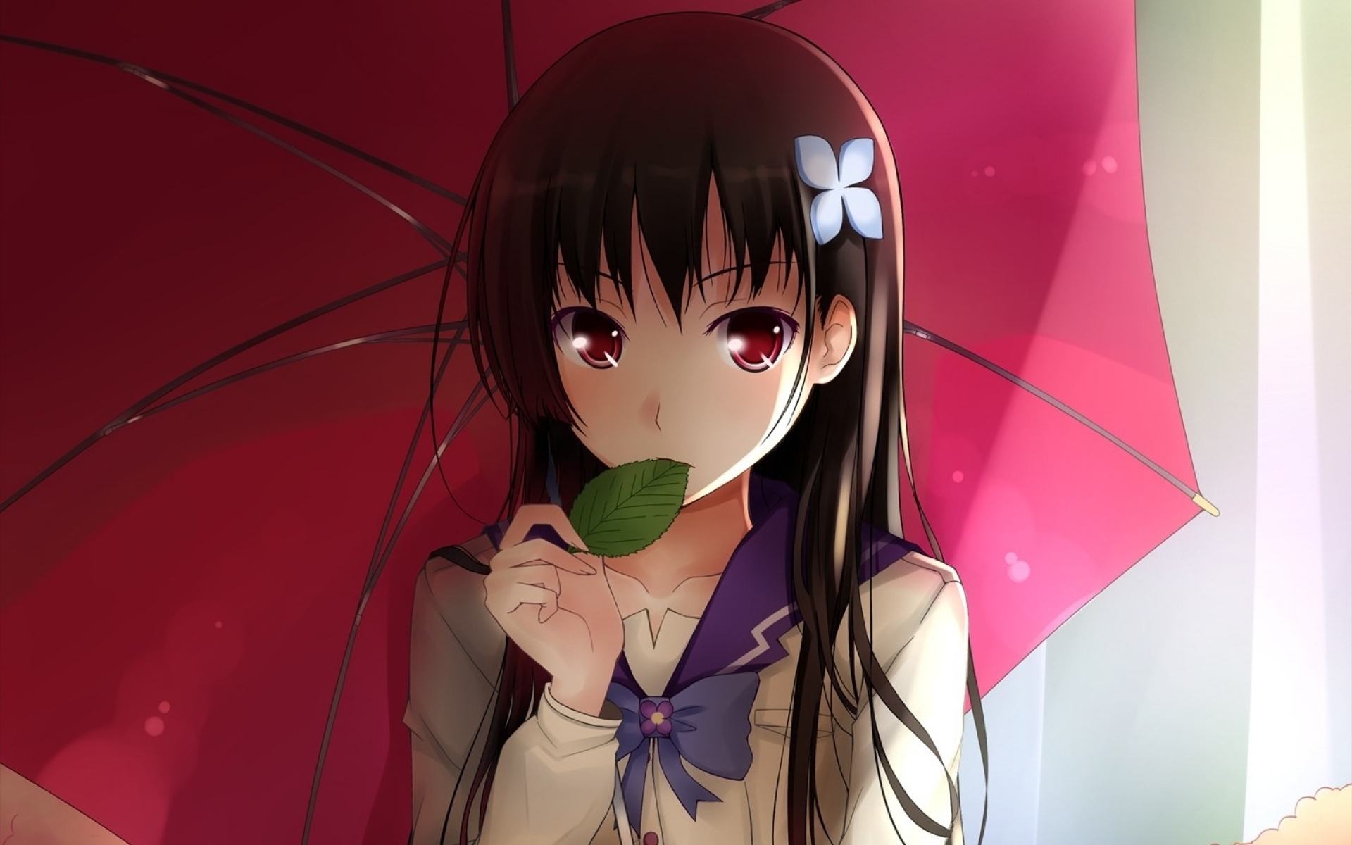 anim