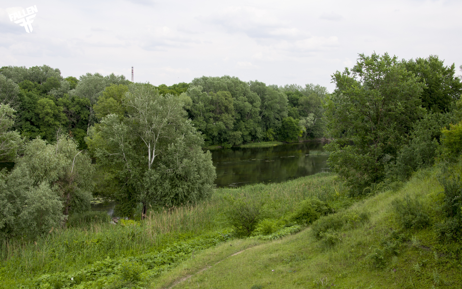 луг, река