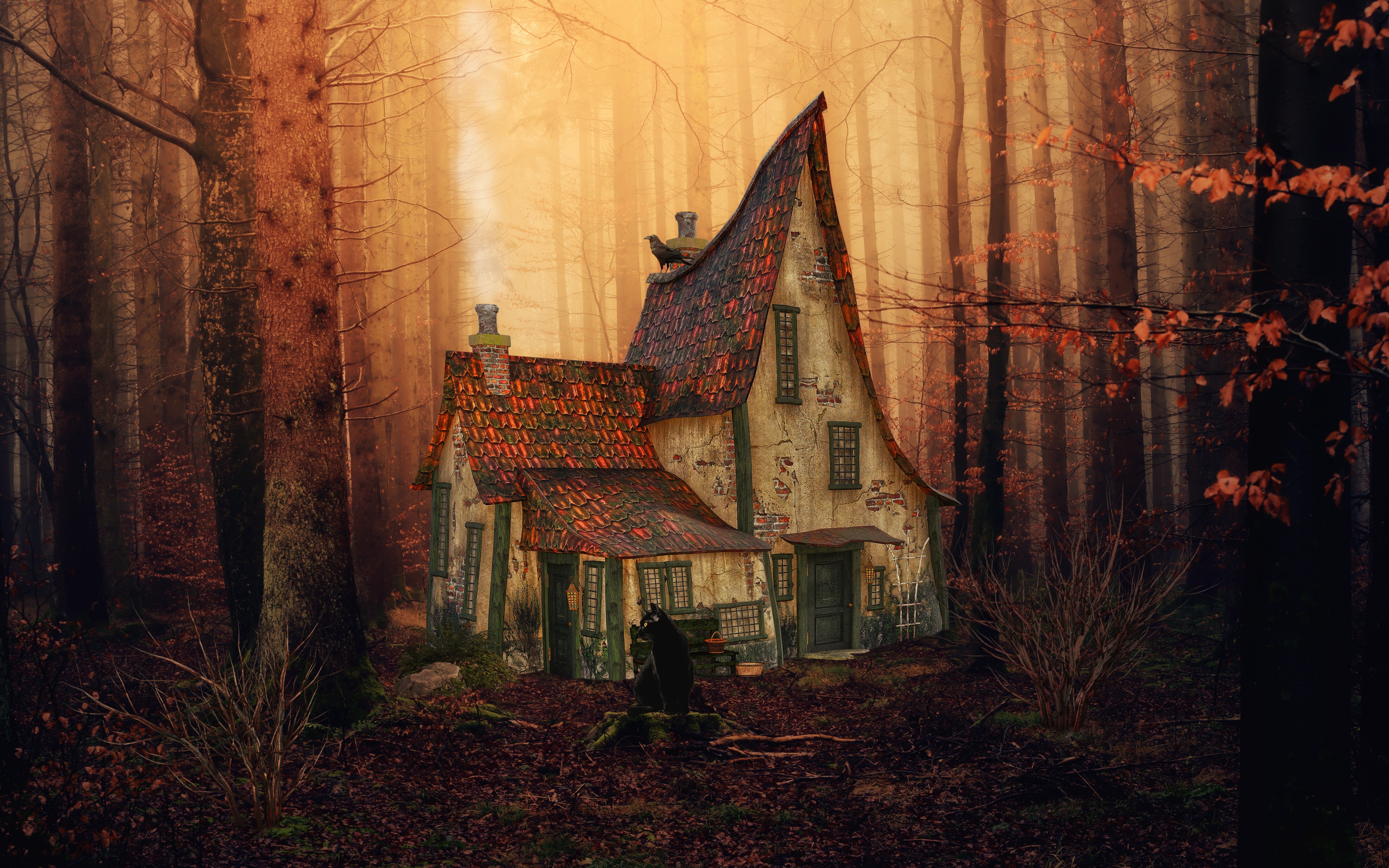 лес, туман, осень