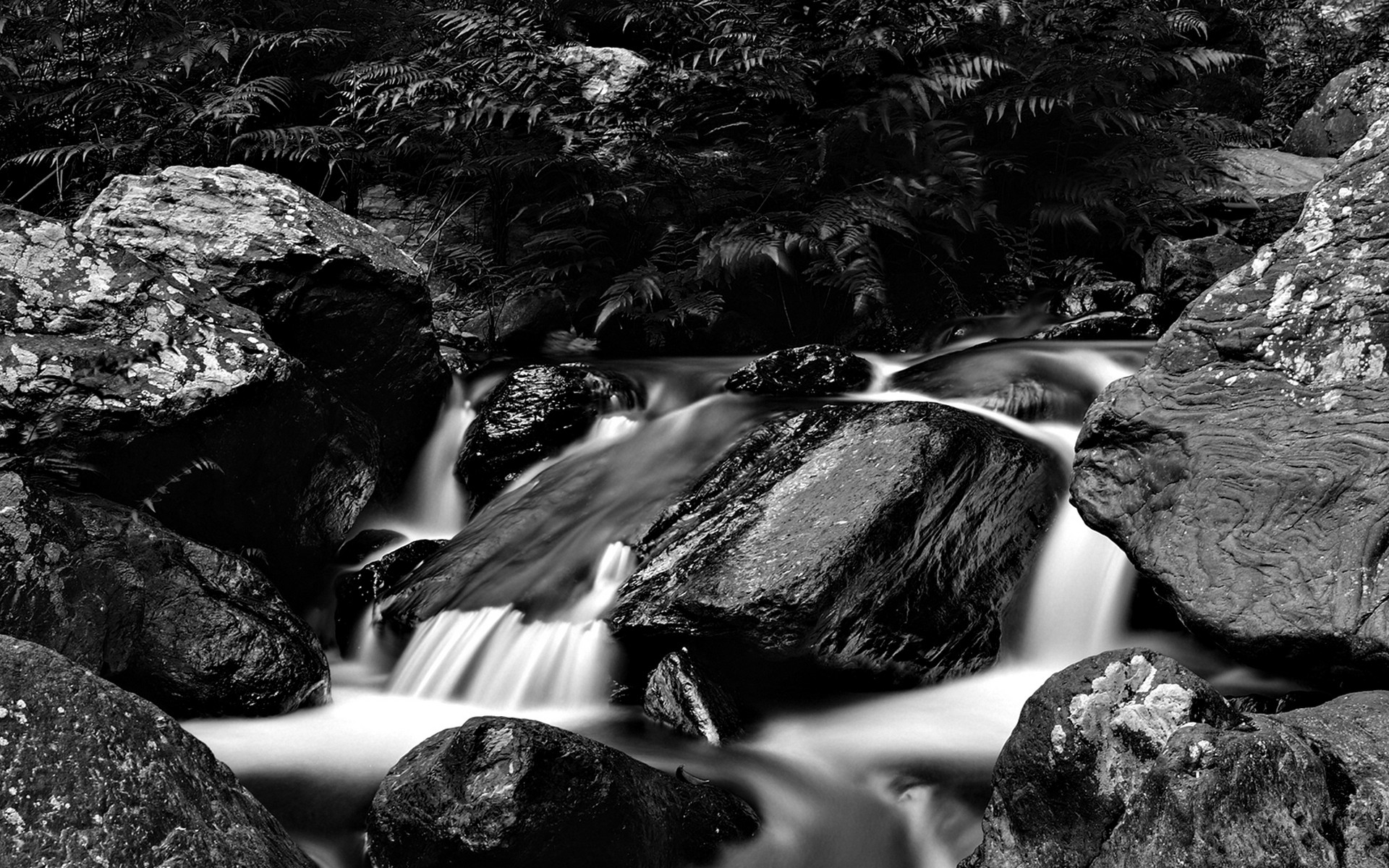 черно-белая фотография водопада в лесу
