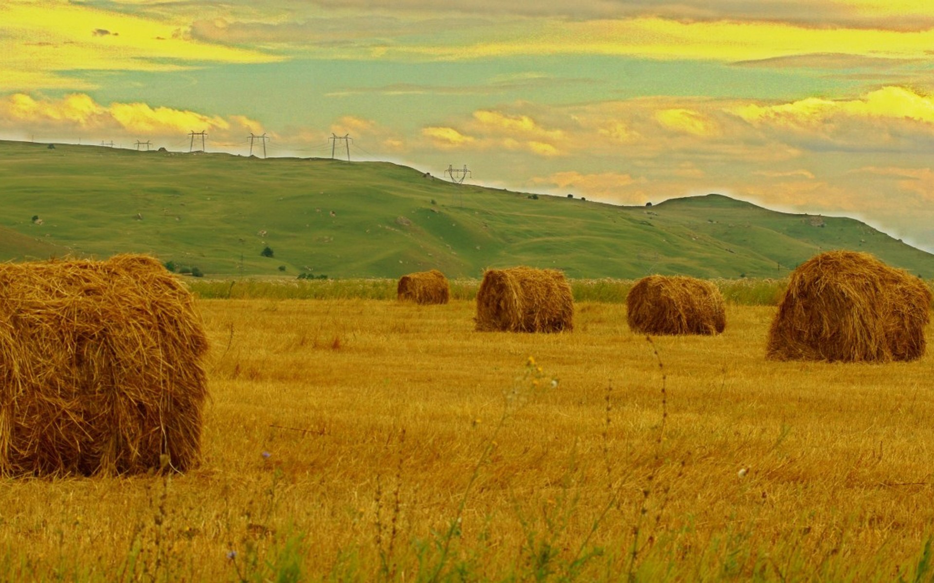 мяч, пакет