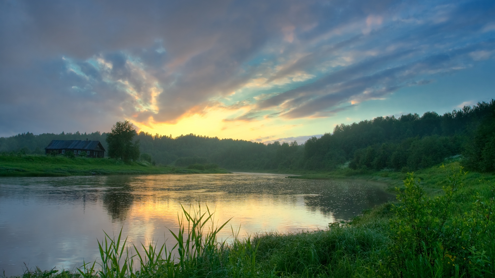 лес, облака
