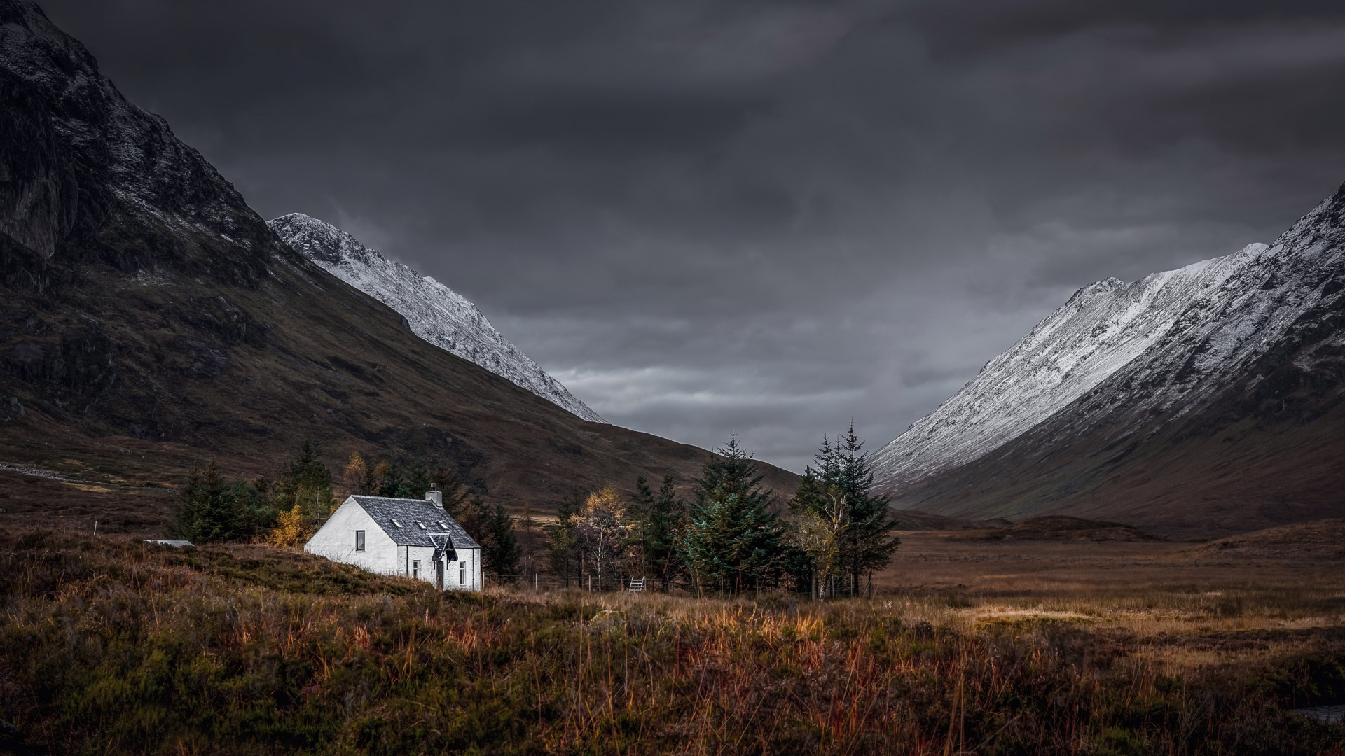 высокогорная, шотландская