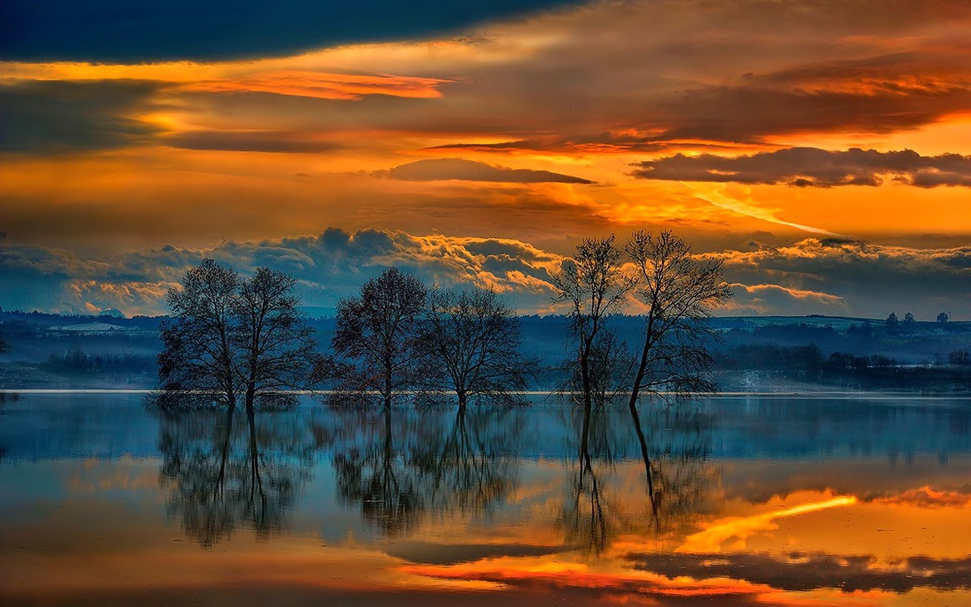 коллекционер, закят