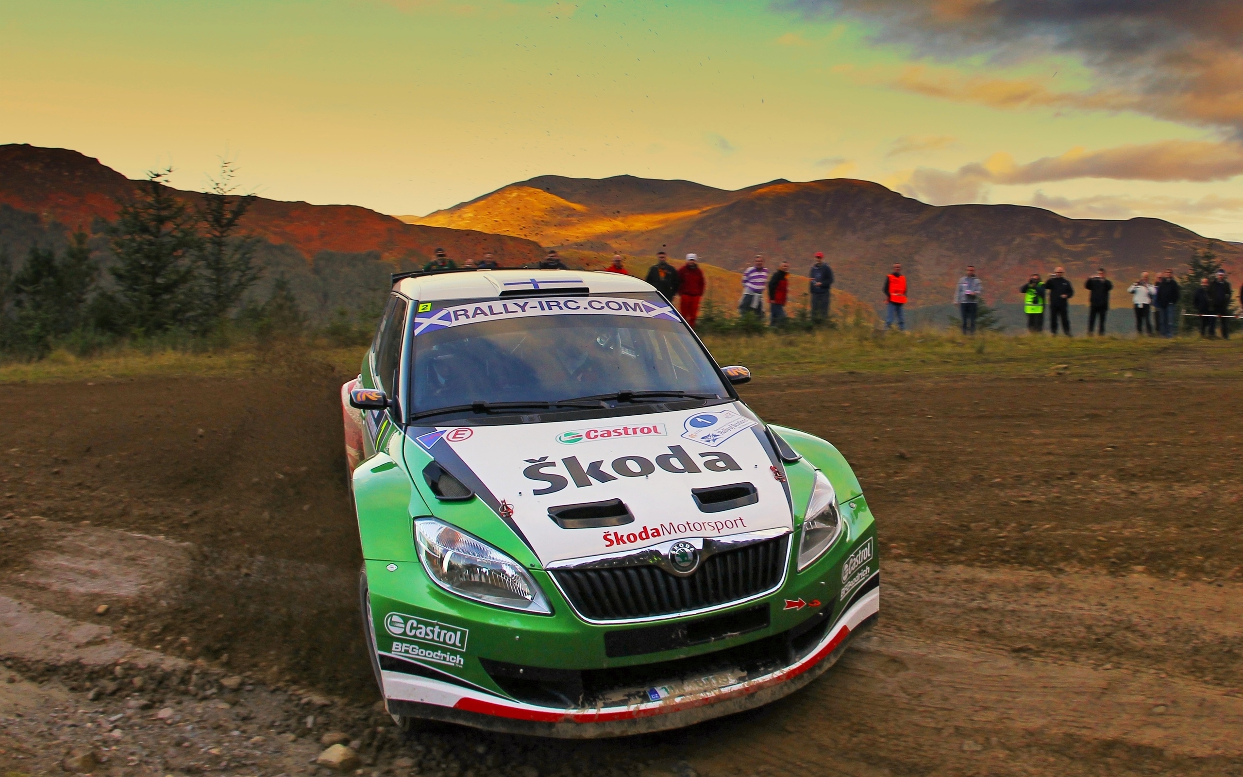 fabia, skoda