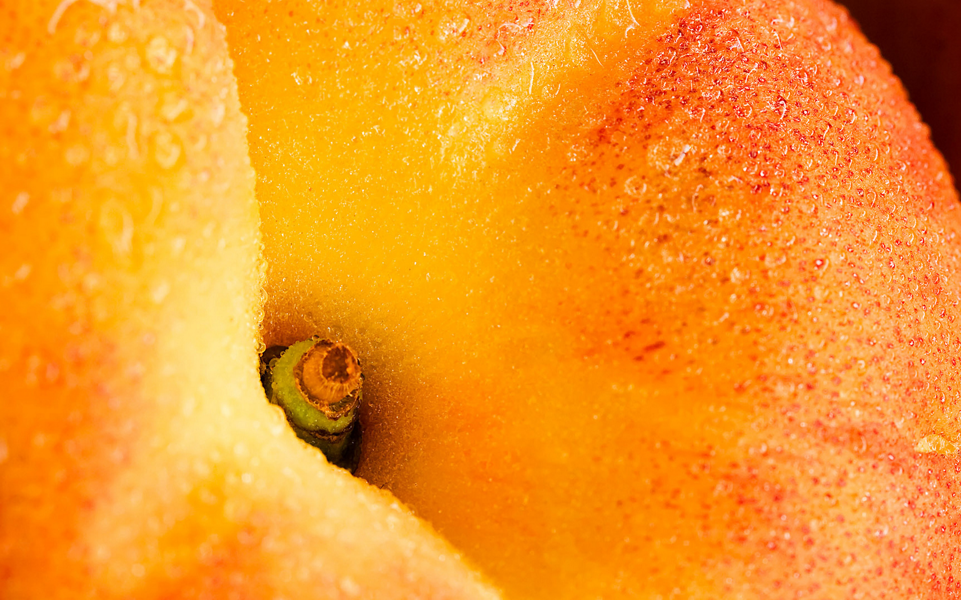 еда персики фрукты бесплатно