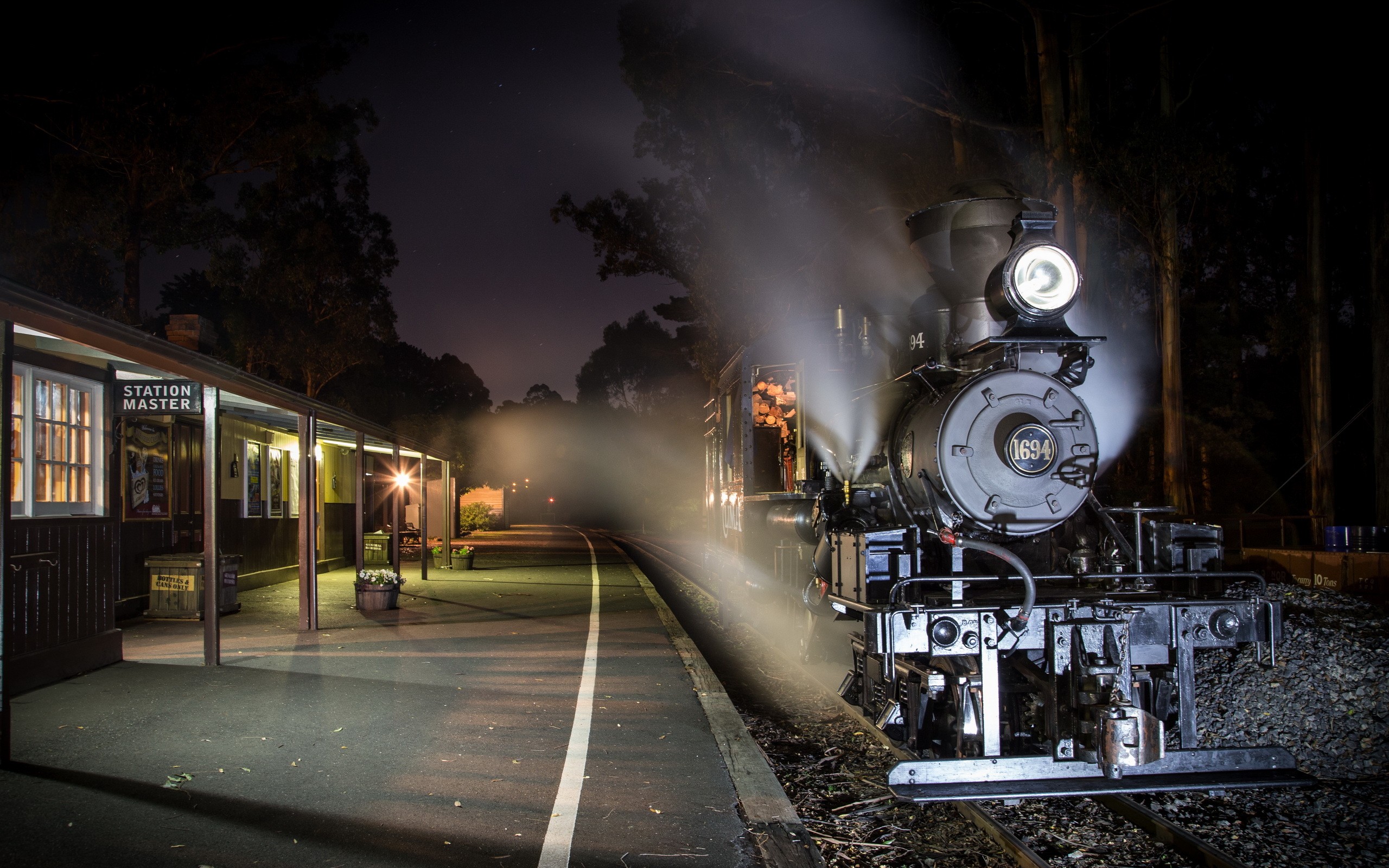 Night train. Призрачный поезд сент-Луиса. Ночной поезд в Инсбрук Дениз Вудз. Ночной перрон малая Вишера. Поезд призрак фильм США.