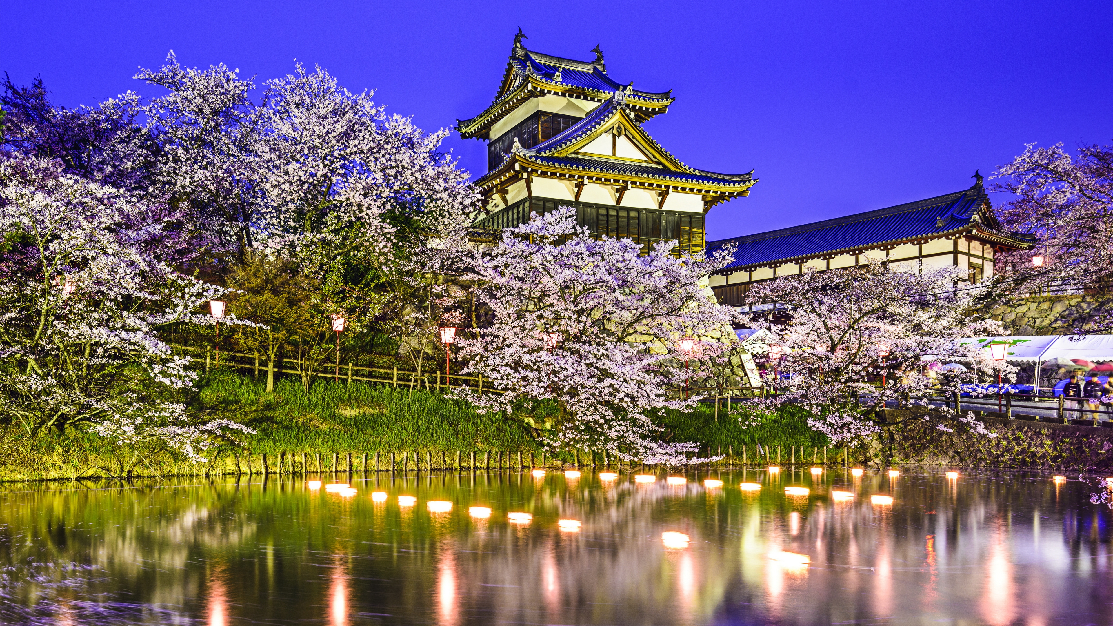 japanese, park, сакур