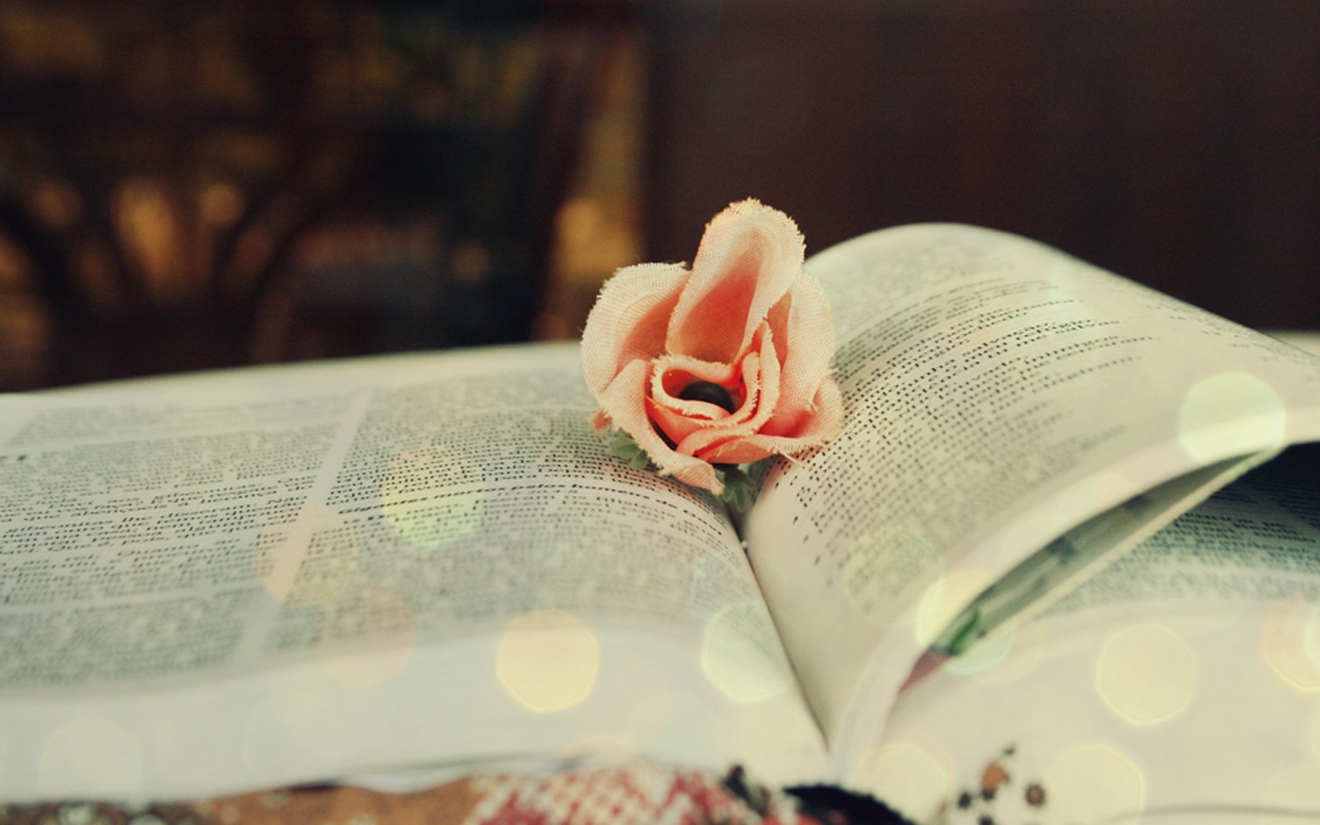 книга, пост