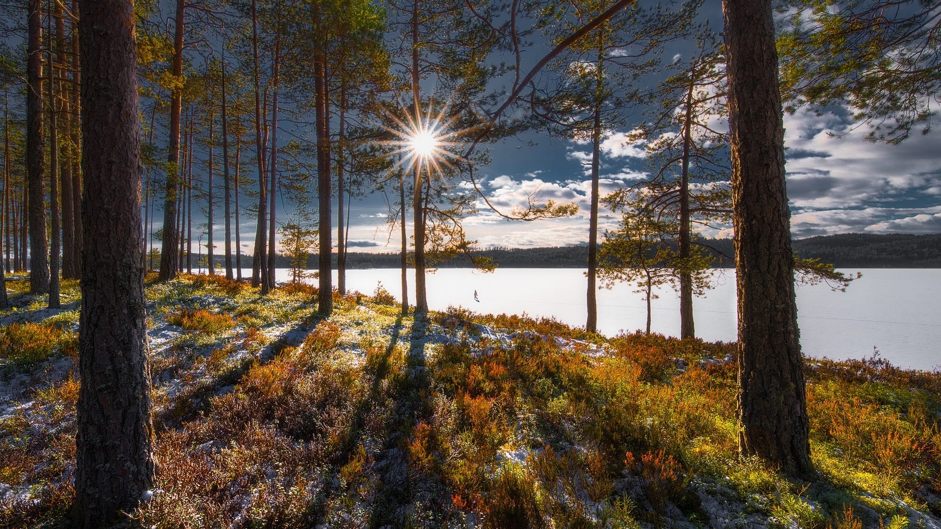 спереди, спереди