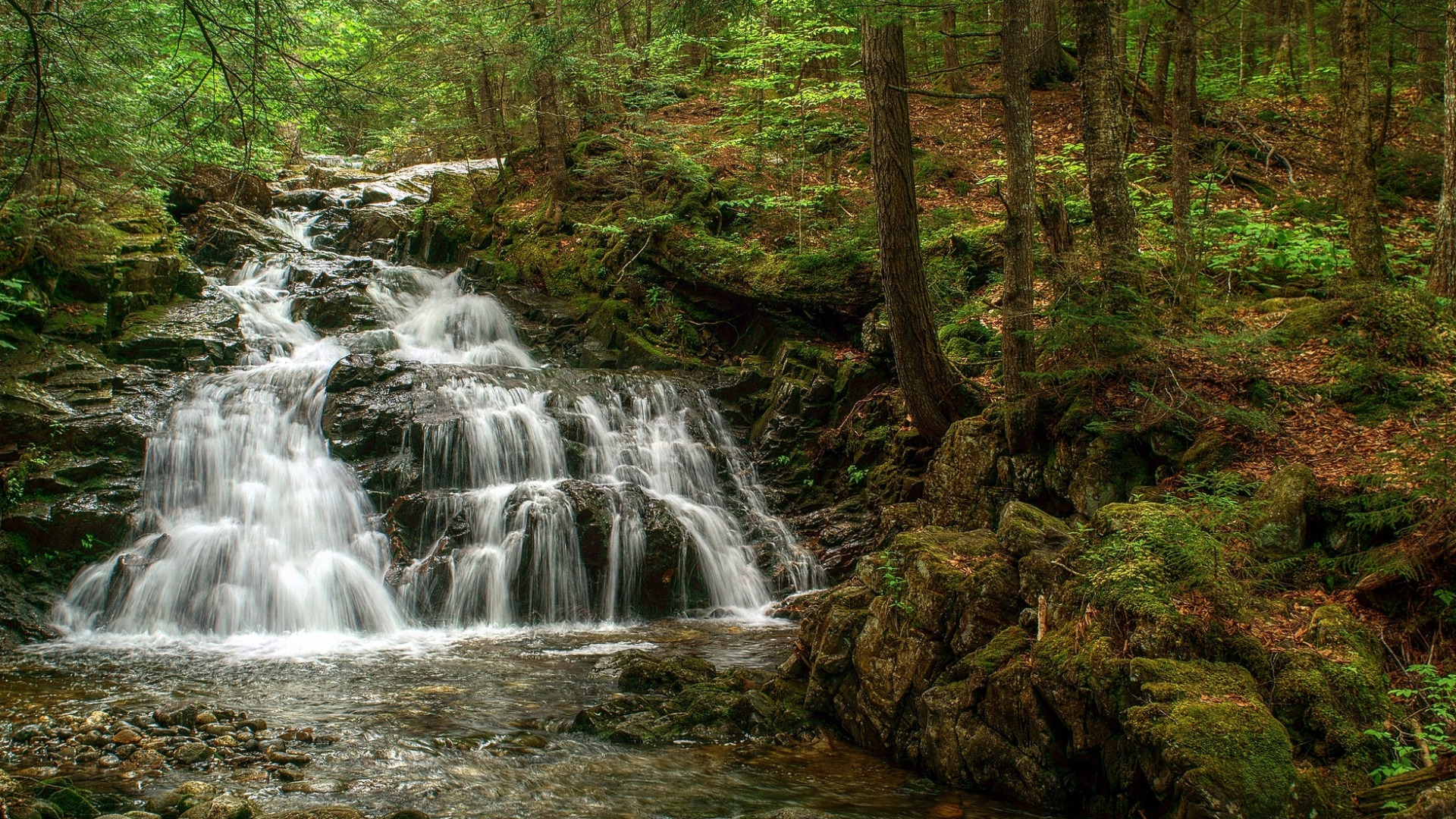 водопад, пасть, фото