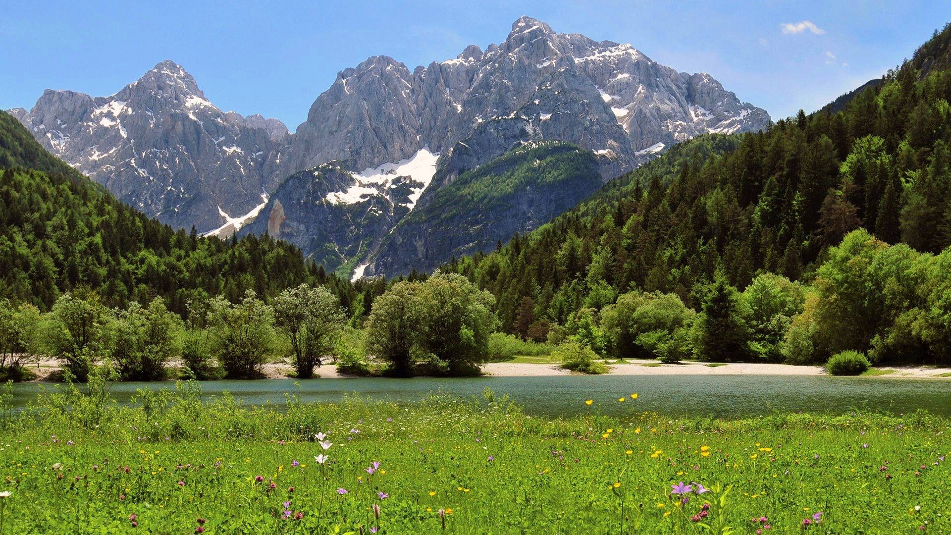 горы находятся на заднем плане