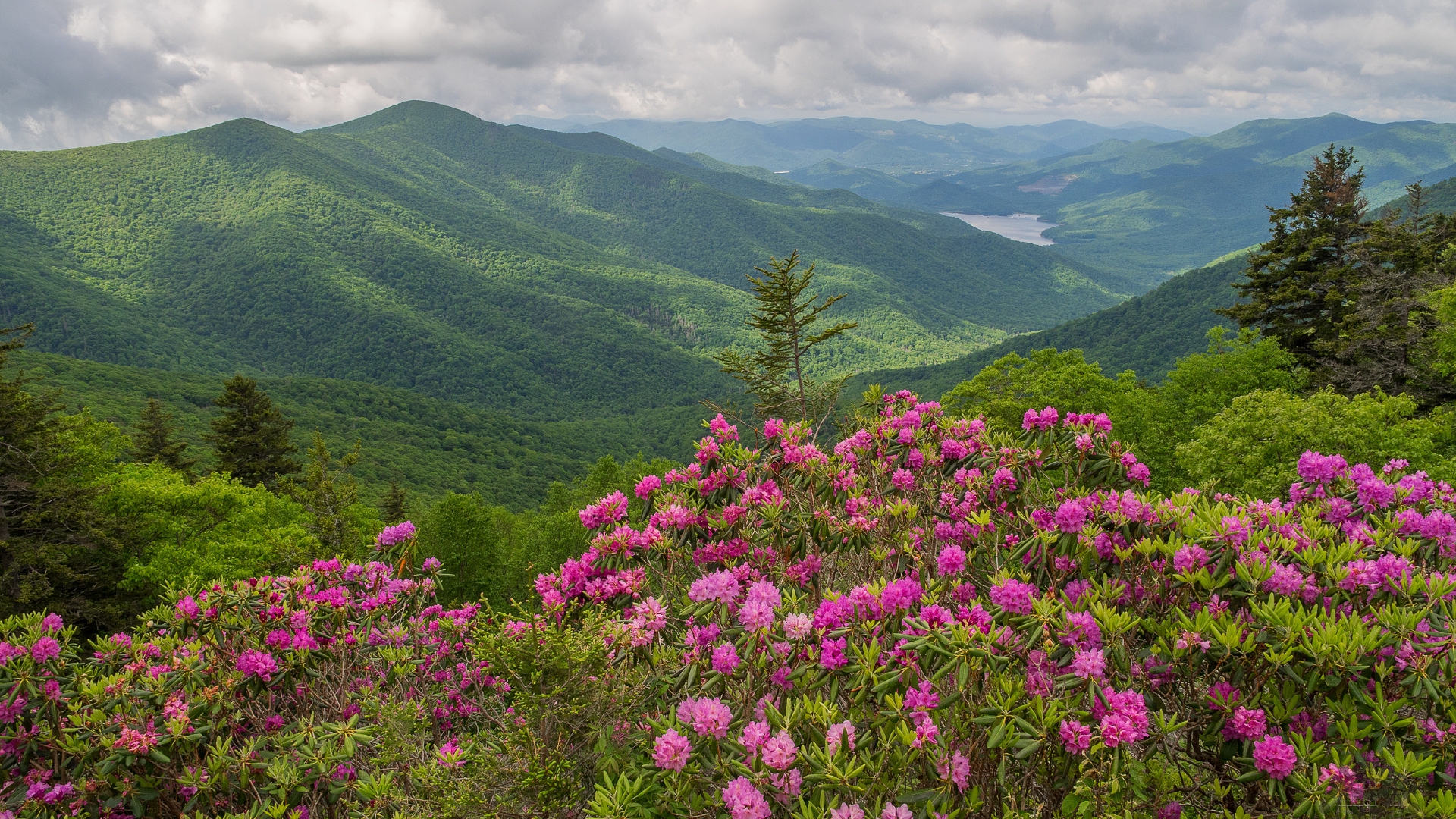 пейзаж, натуральные, фото