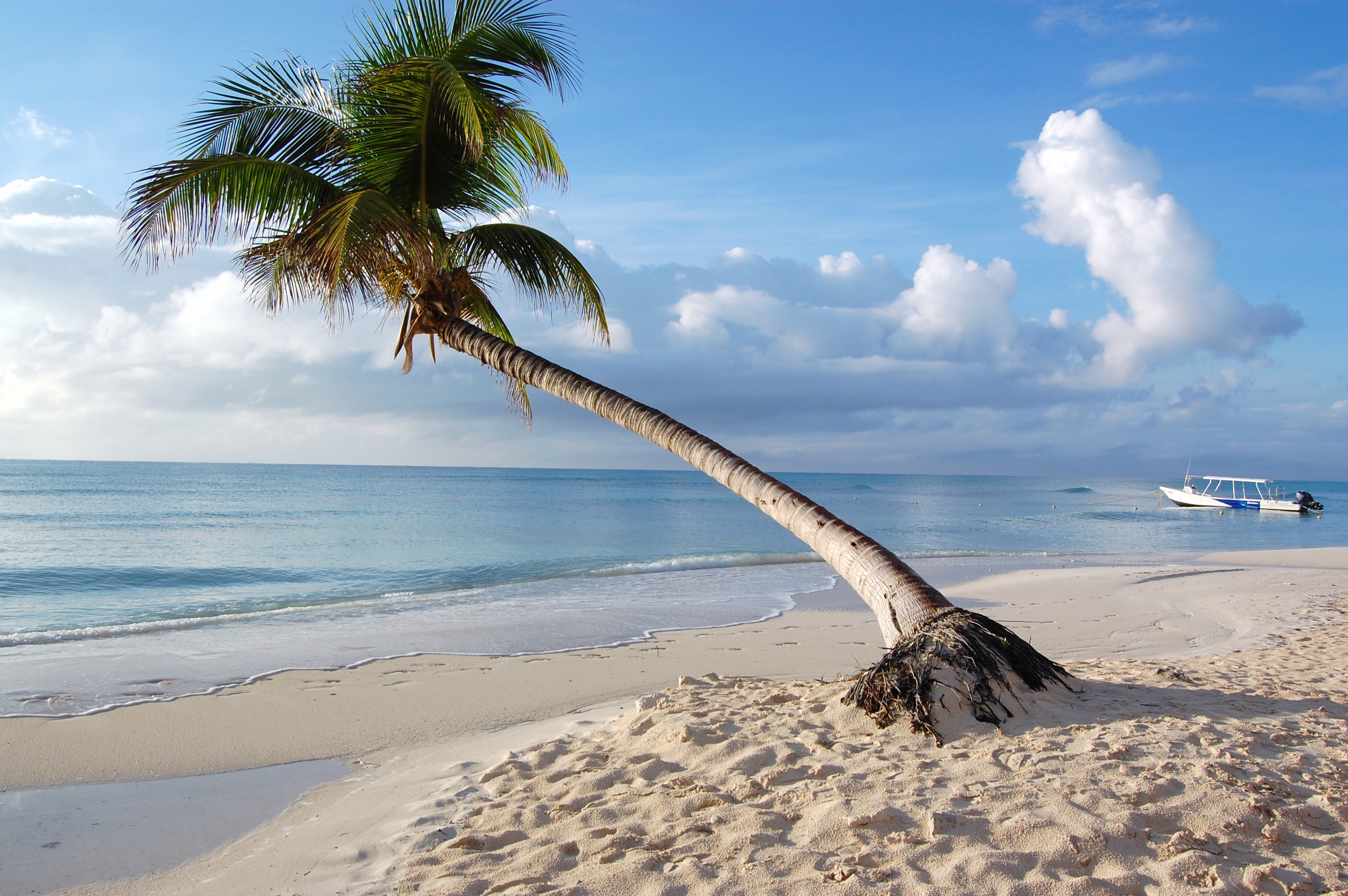 maldives, tropics, натуральные
