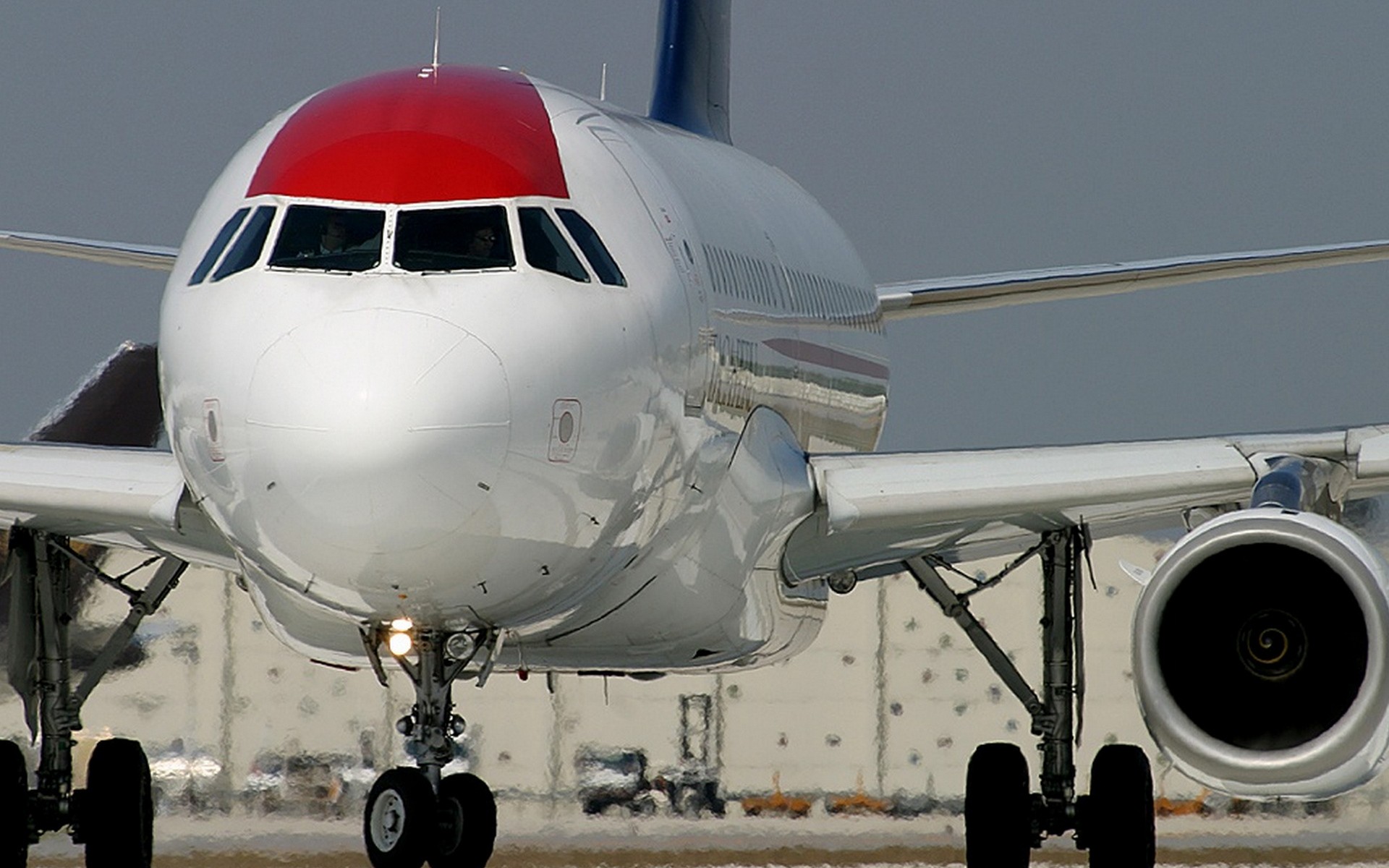 taca, livery