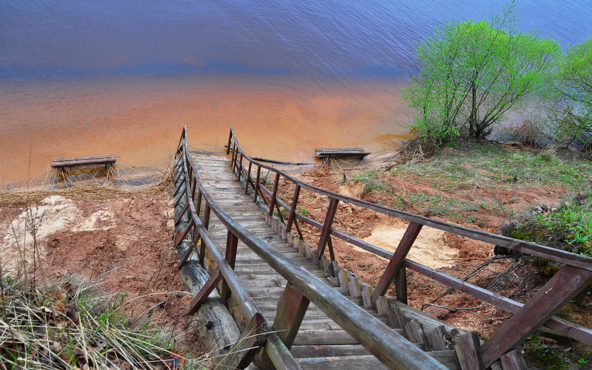 вода, парк, рок