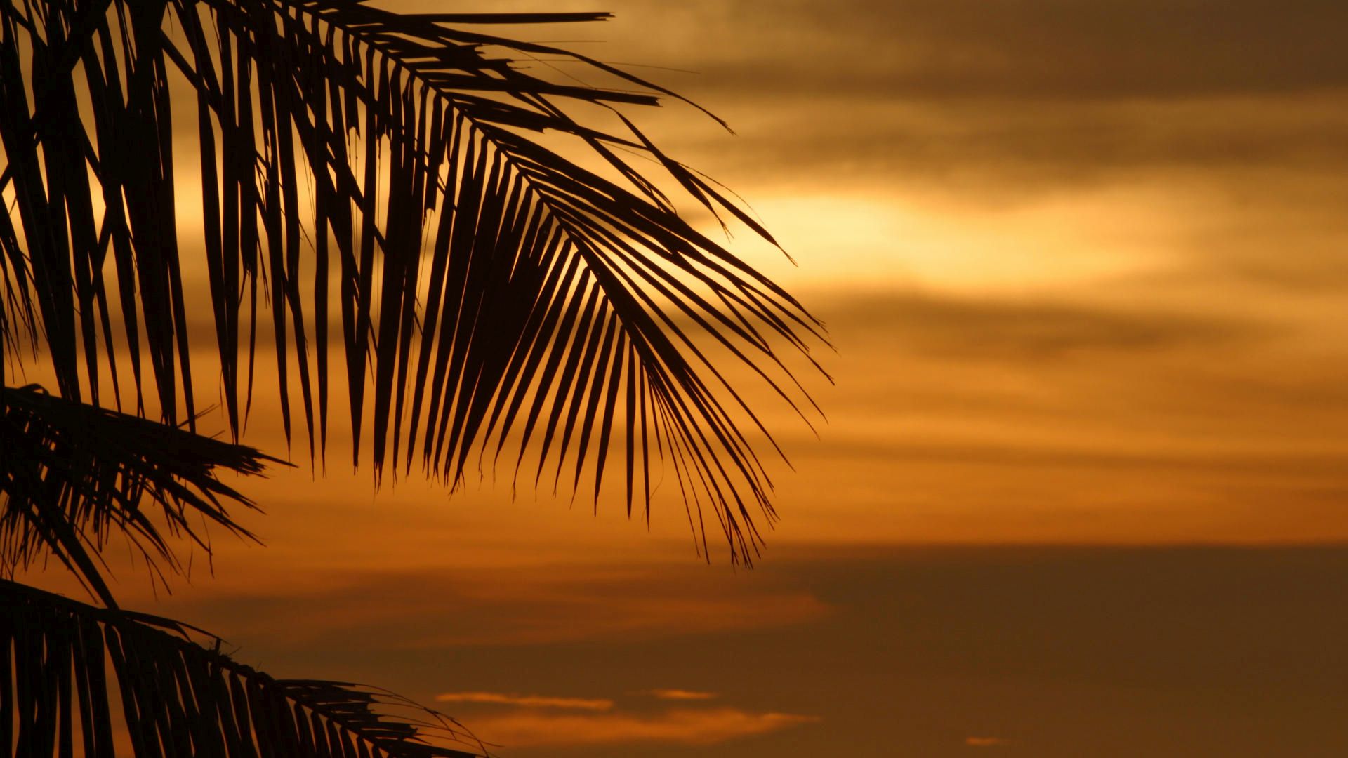 живо, библия, энтузи