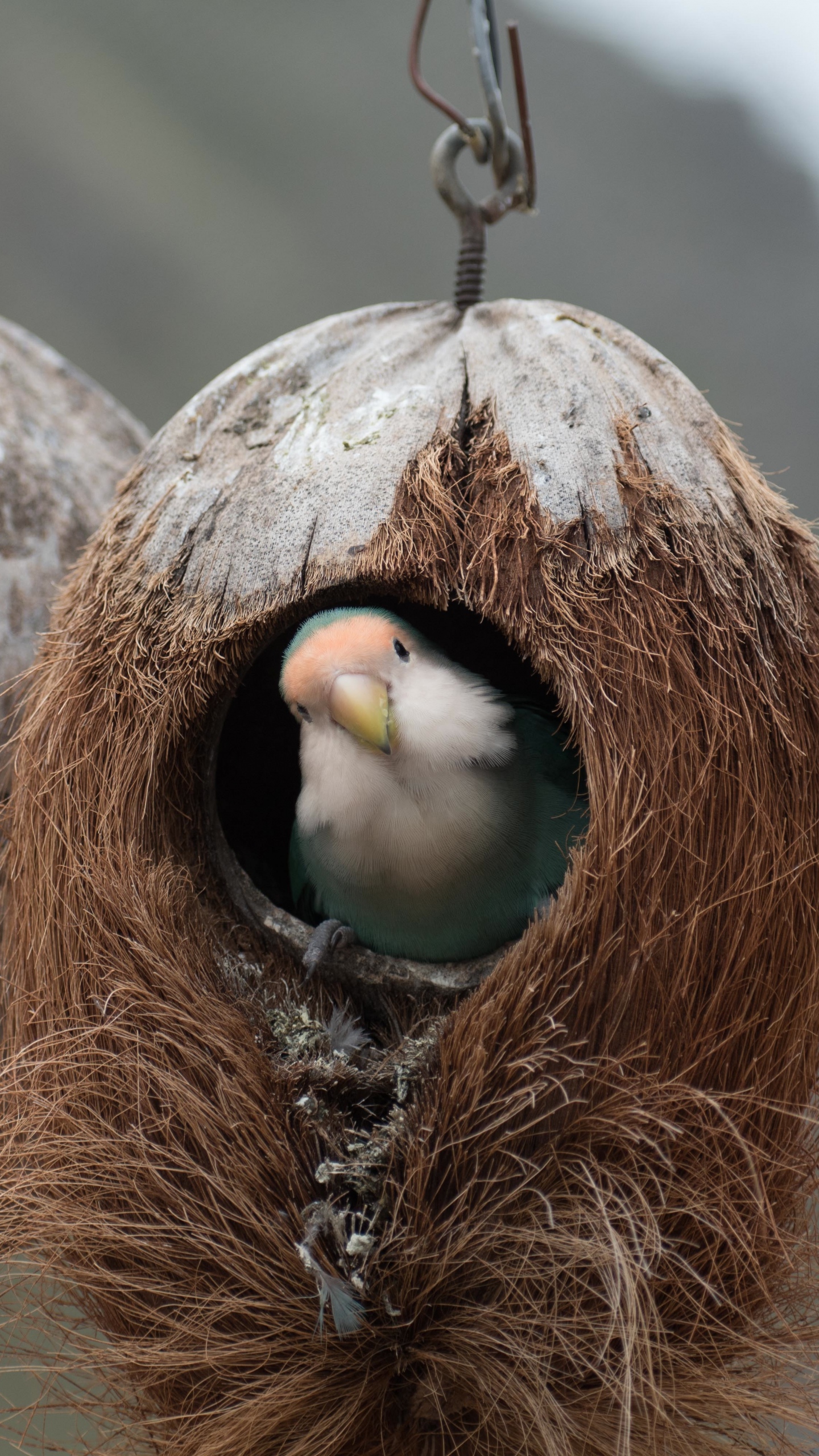 торговый центр