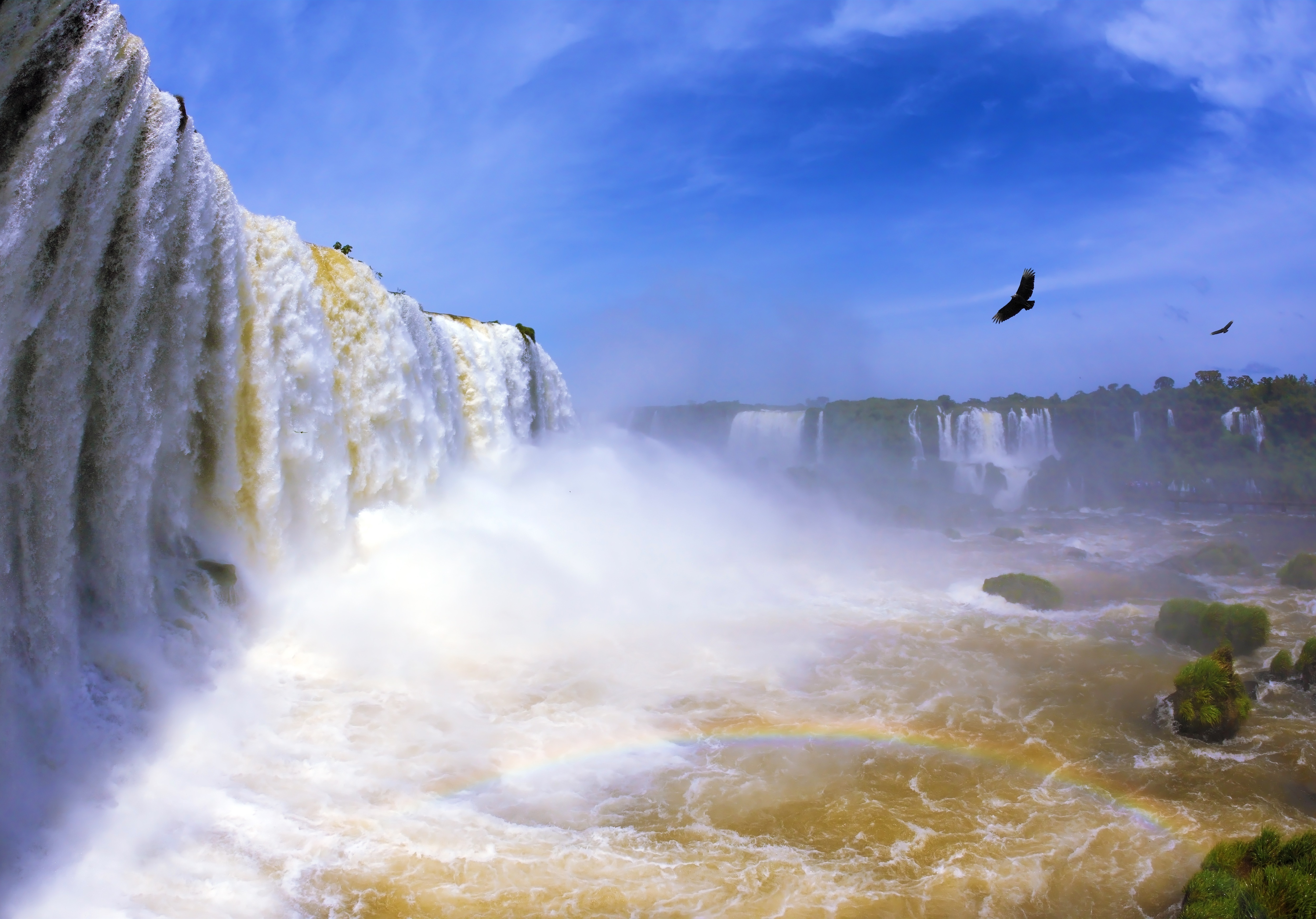 Песня водопад небес. Водопад Игуасу Радуга. Птица над водопадом. Туман над водопадом. Обои на рабочий стол водопад.