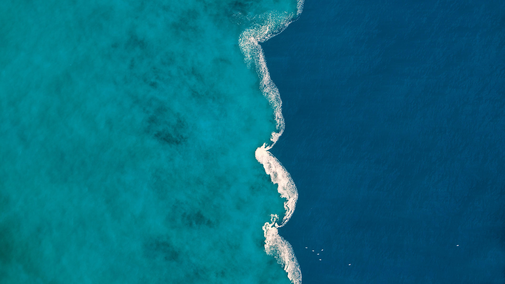 вода, соль, свежая
