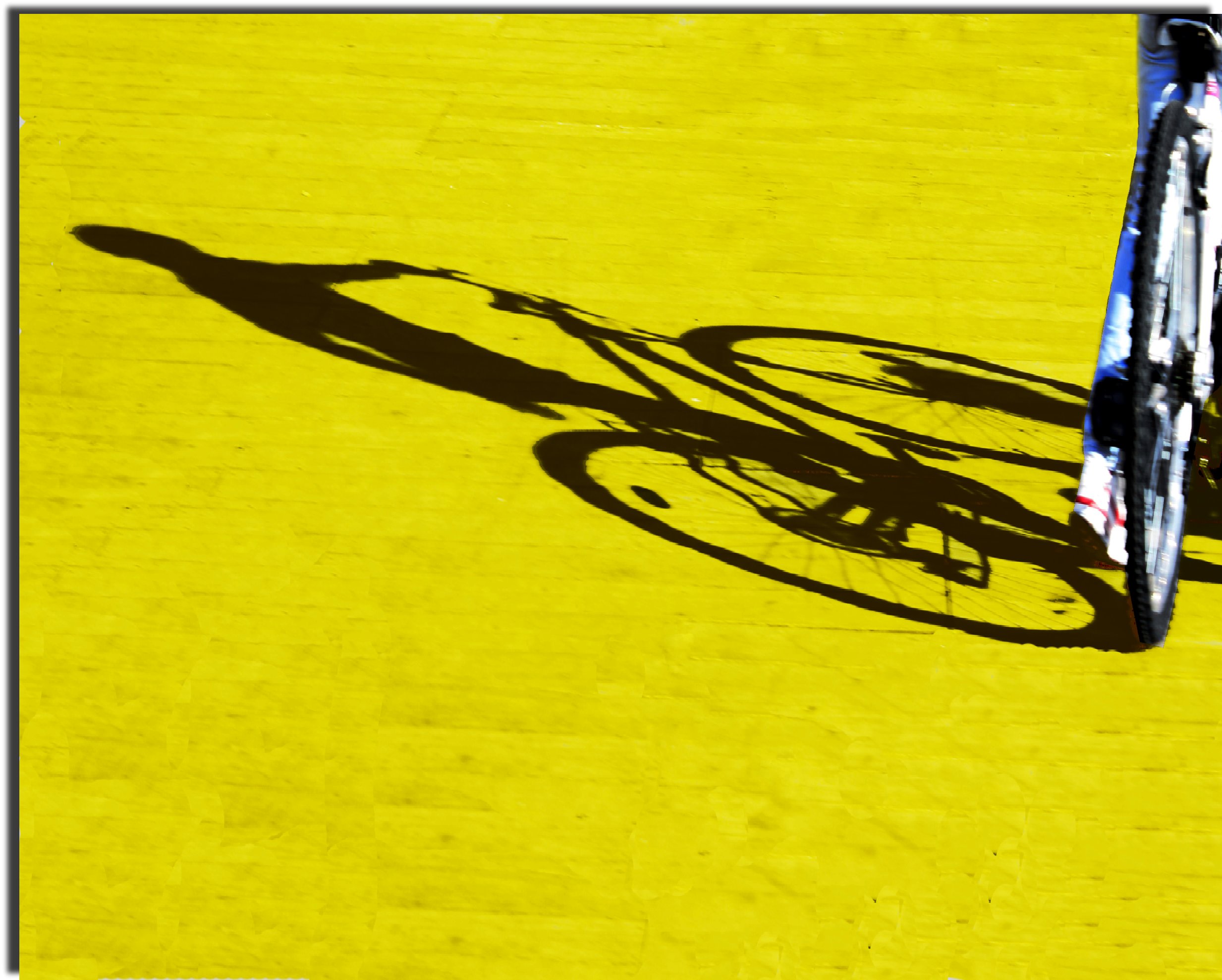 ombra, bicicletta, sorus